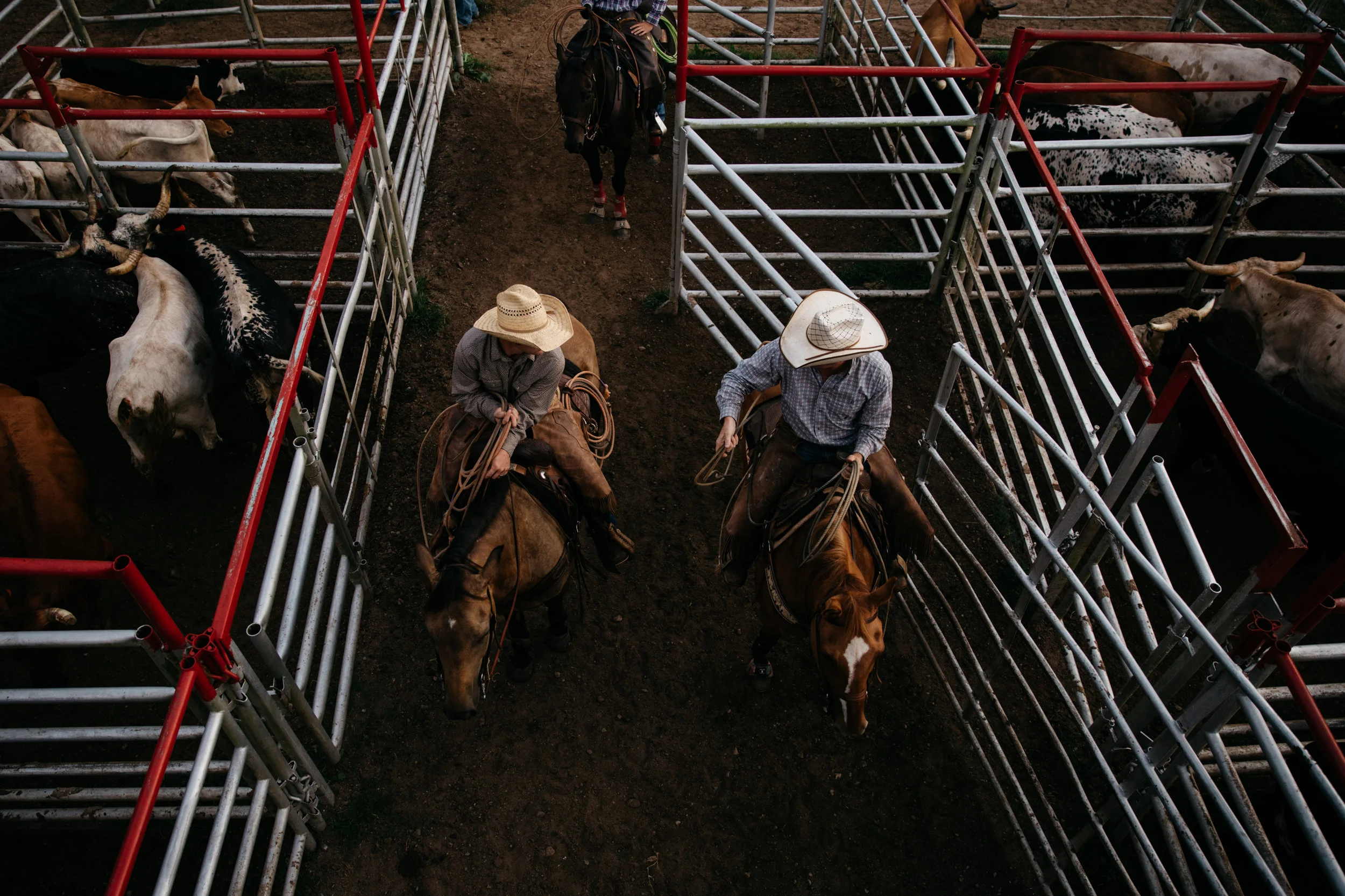 CRA_rodeo_samples01-87.jpg