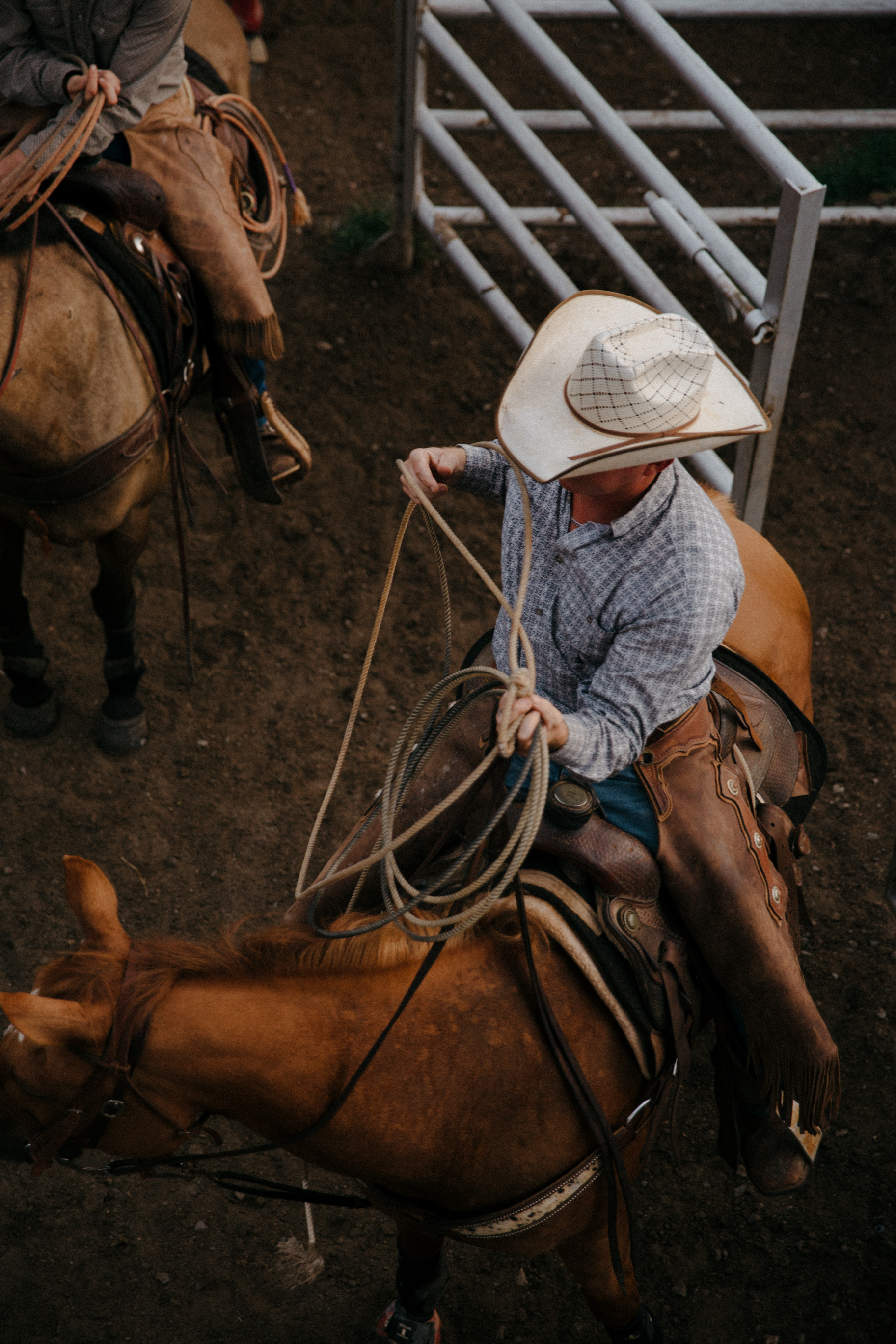 CRA_rodeo_web_1-95.jpg