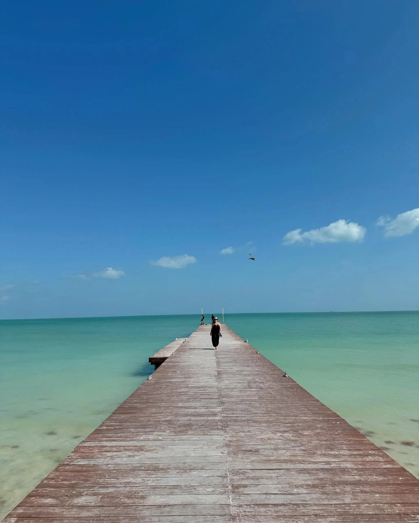 Isla Holbox = my happy place. ☀️🕶️👙🍹🇲🇽🌮