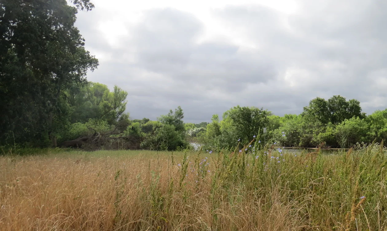 Blog banner 9-2017.jpg