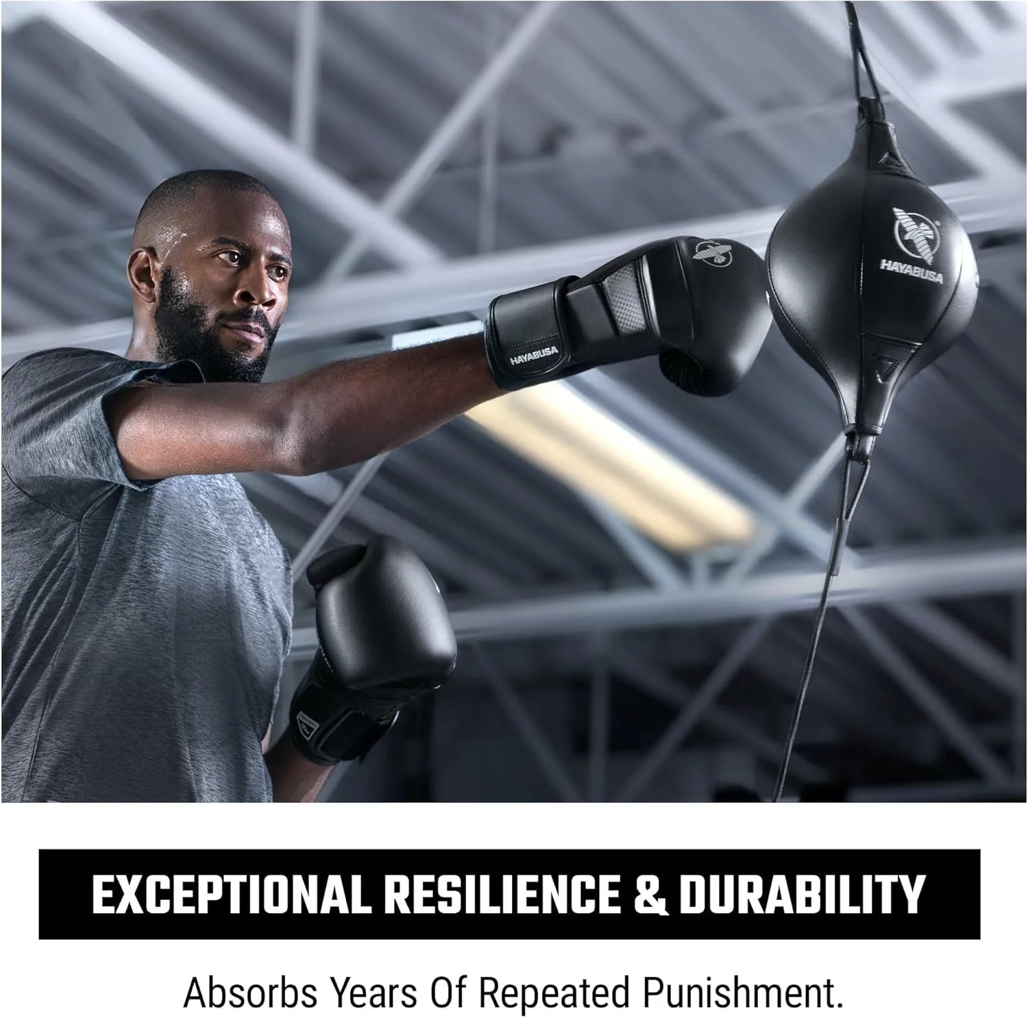 HAYABUSA DOUBLE END BAG