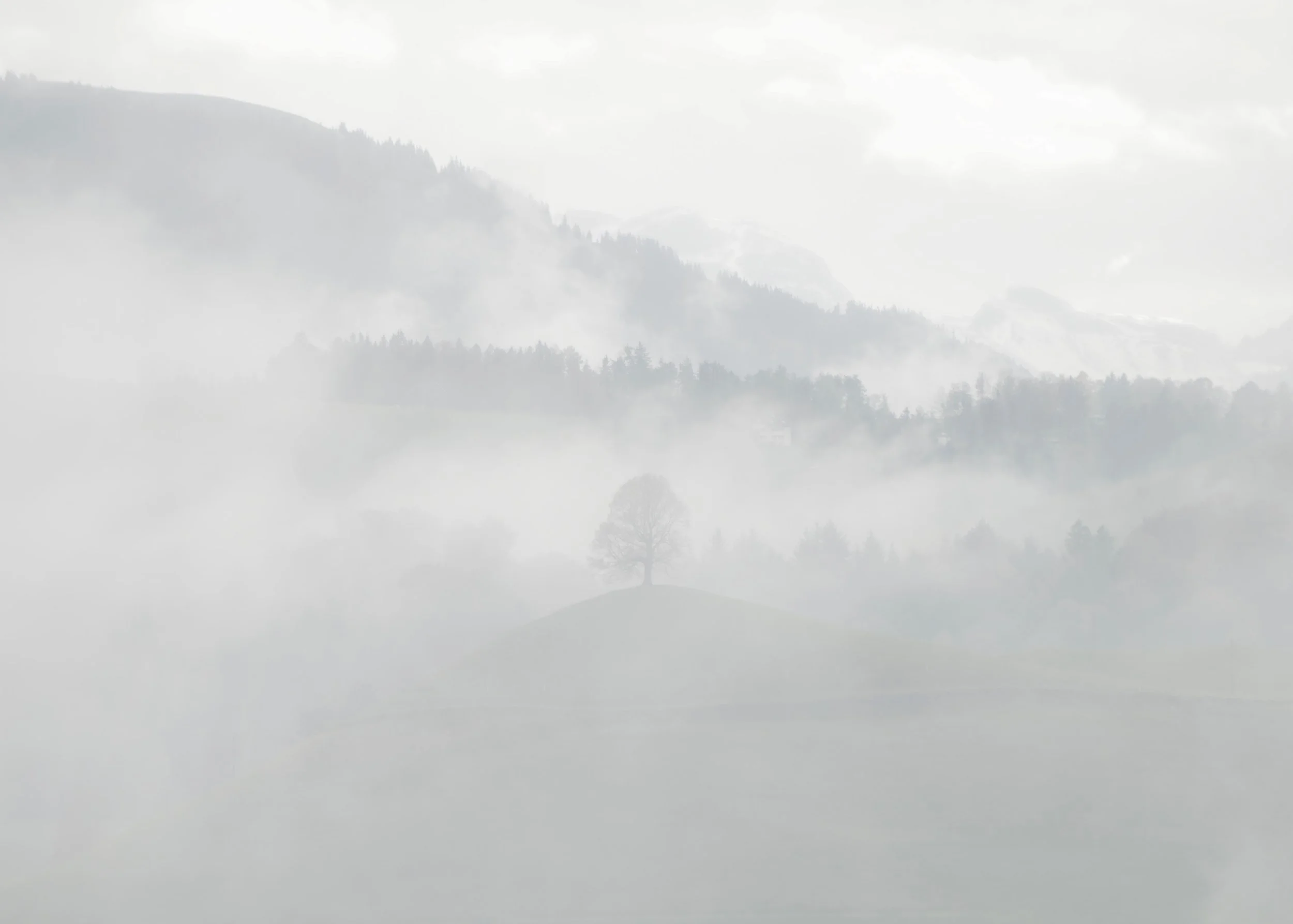 Becoming Invisible