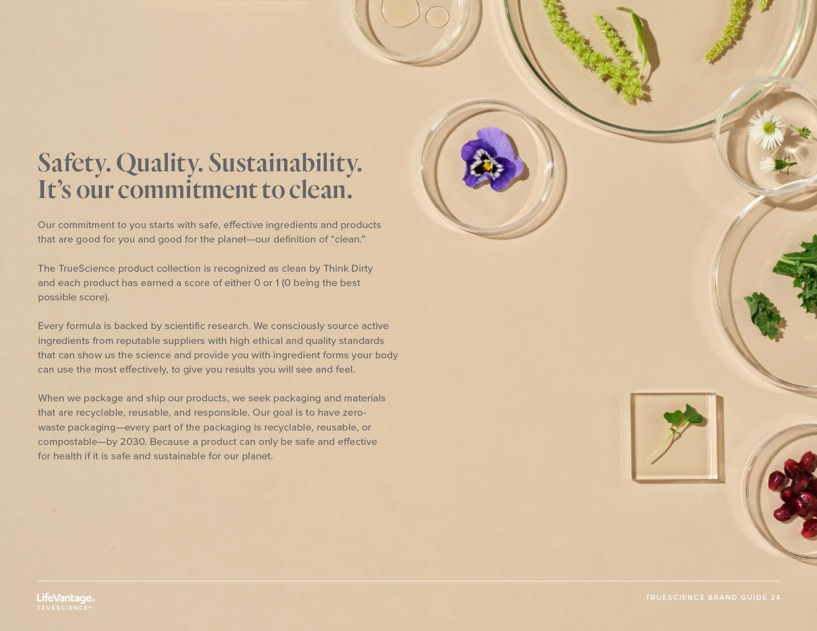 24 TrueScience Brand Guide 018.jpg