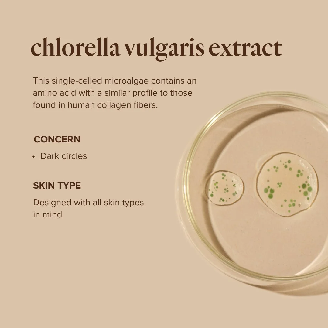 US TrueScience Key Ingredients - chlorella vulgaris.jpg