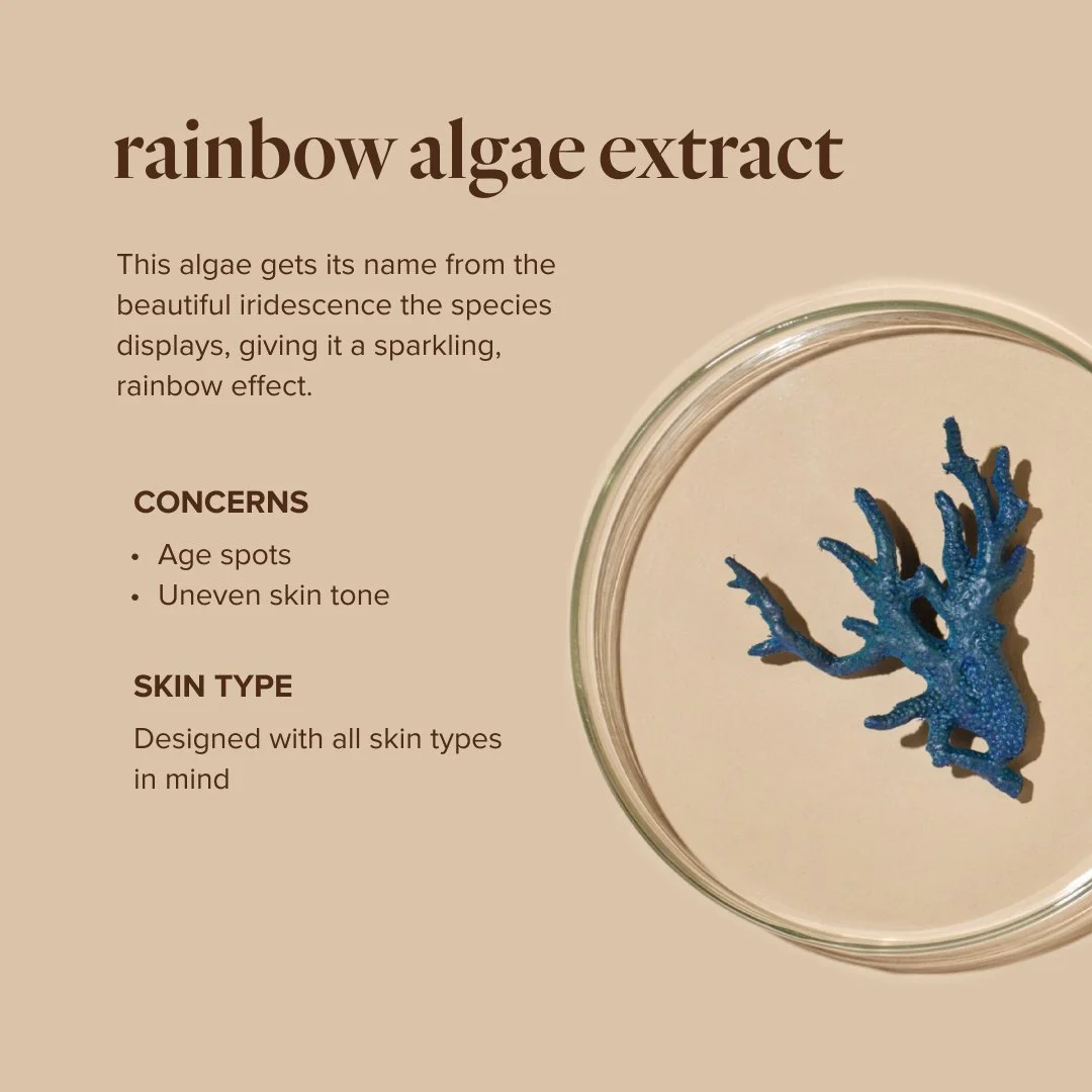 US TrueScience Key Ingredients - Rainbow Algae.jpg