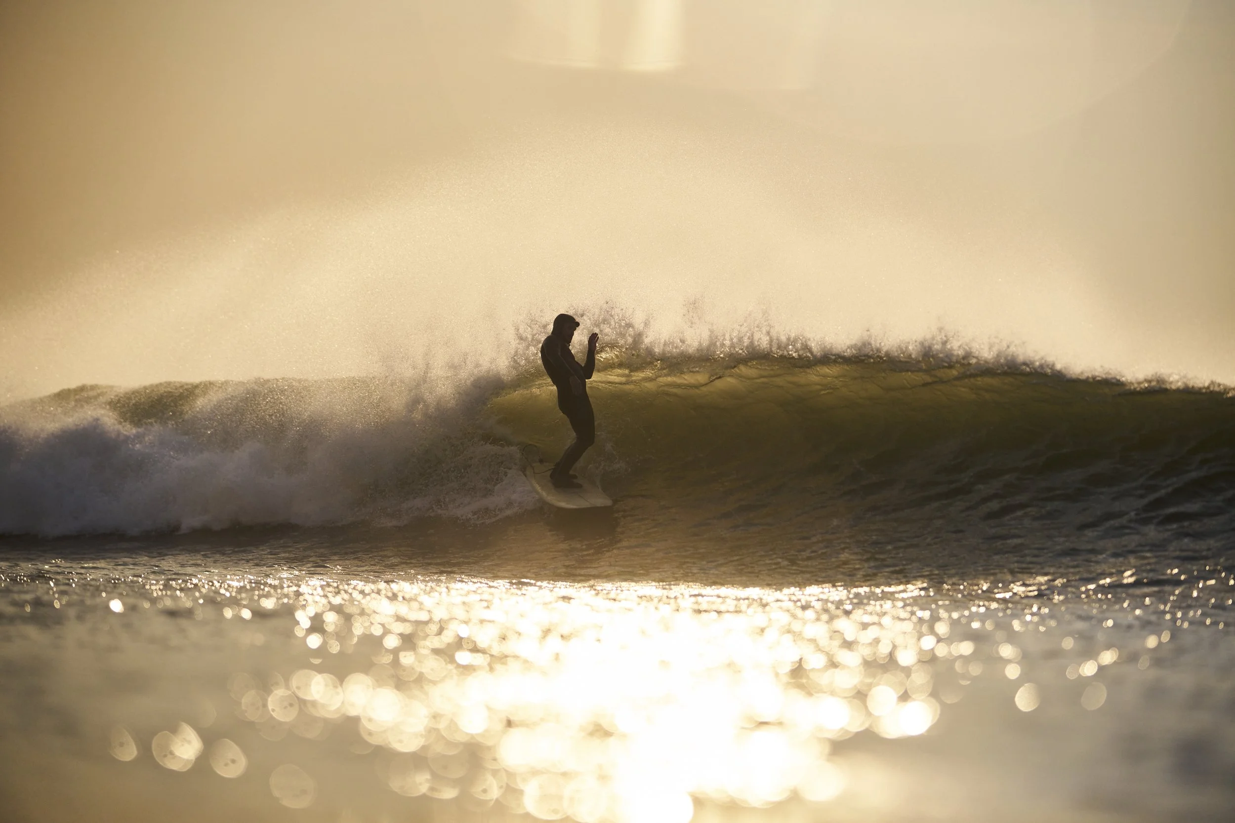  Photo by Scott Soens 