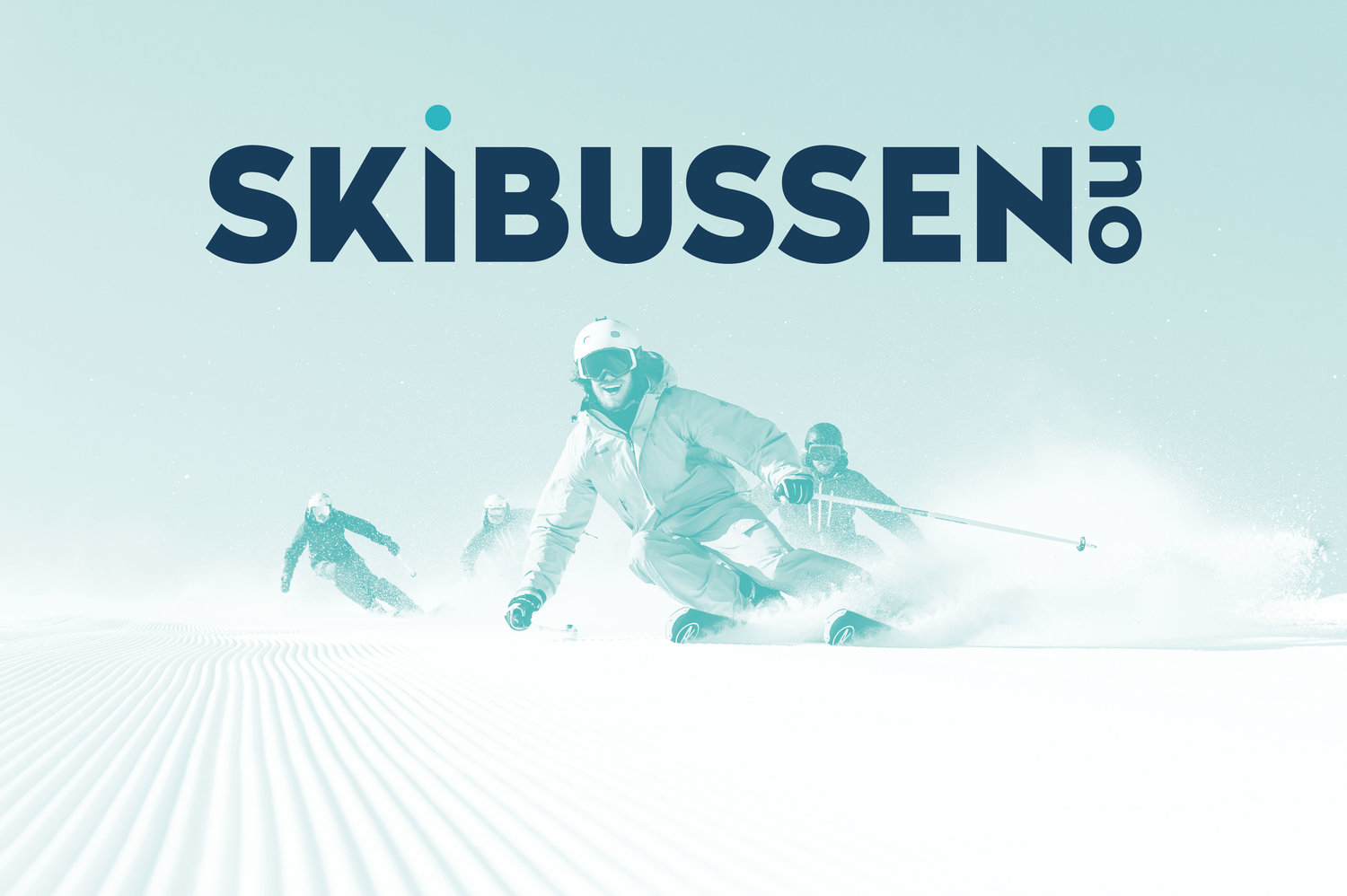 skibussen_Tint.jpg