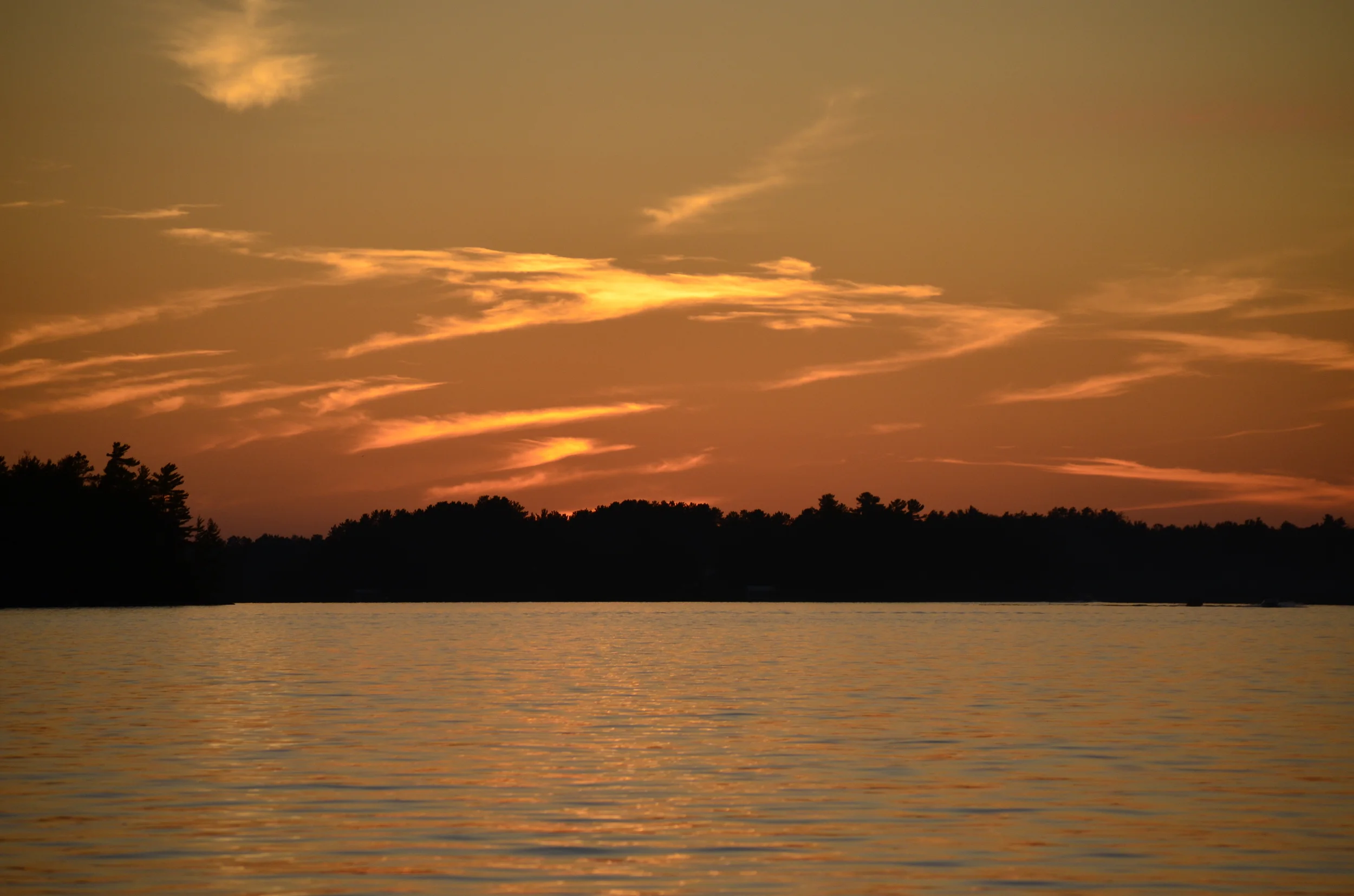 _DSC0646.JPG