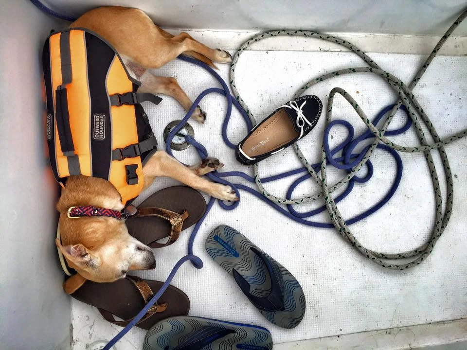 The life-changing magic of collecting adventures, not things.