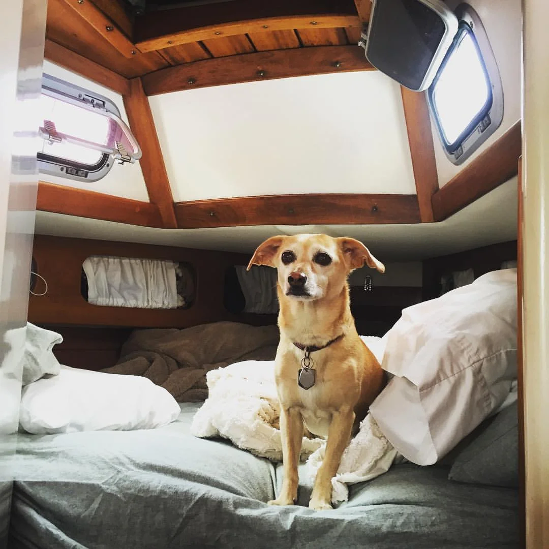 7 sanity-saving products that make tiny homes infinitely more livable. 