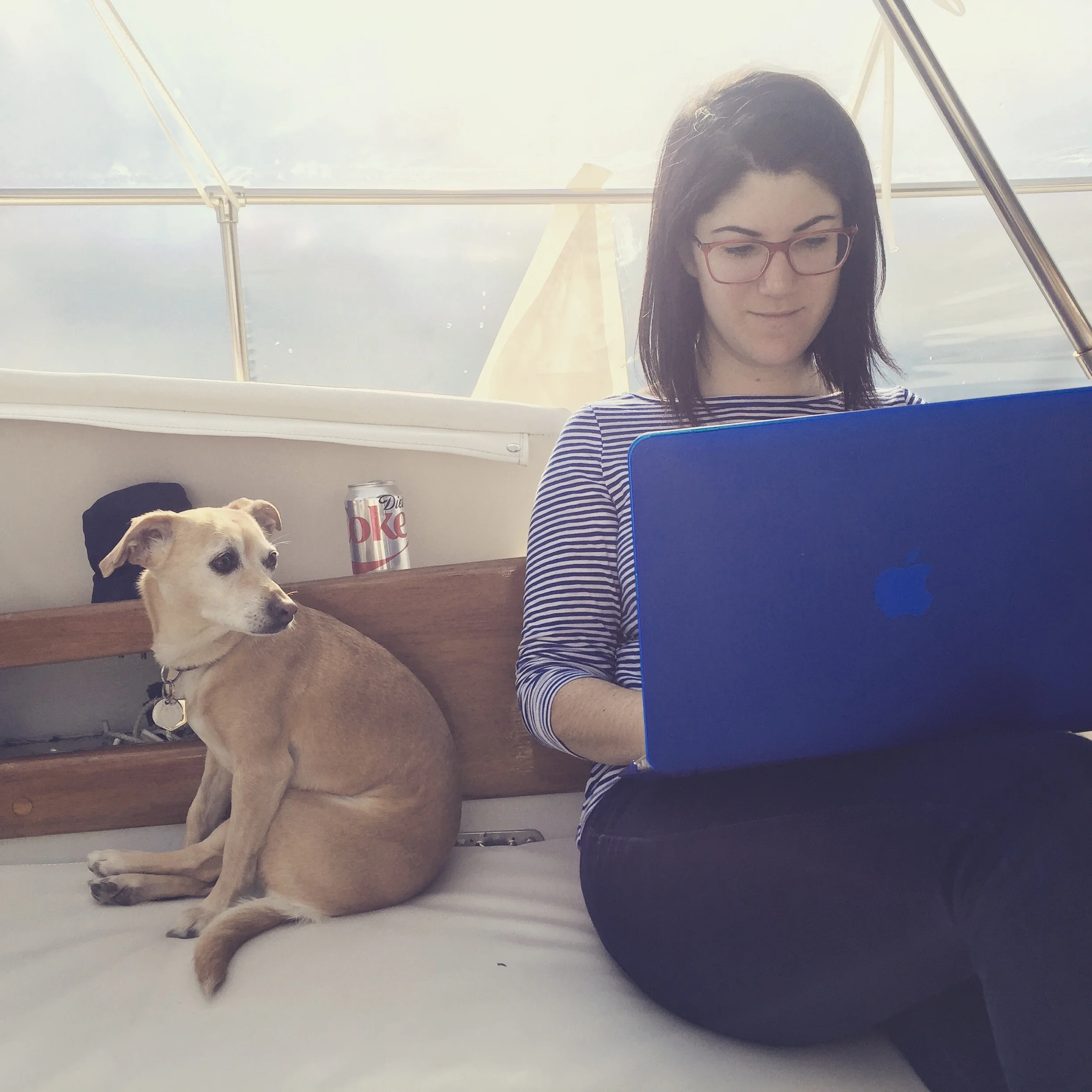 Blogging from the comfort of our cozily wrapped deck.