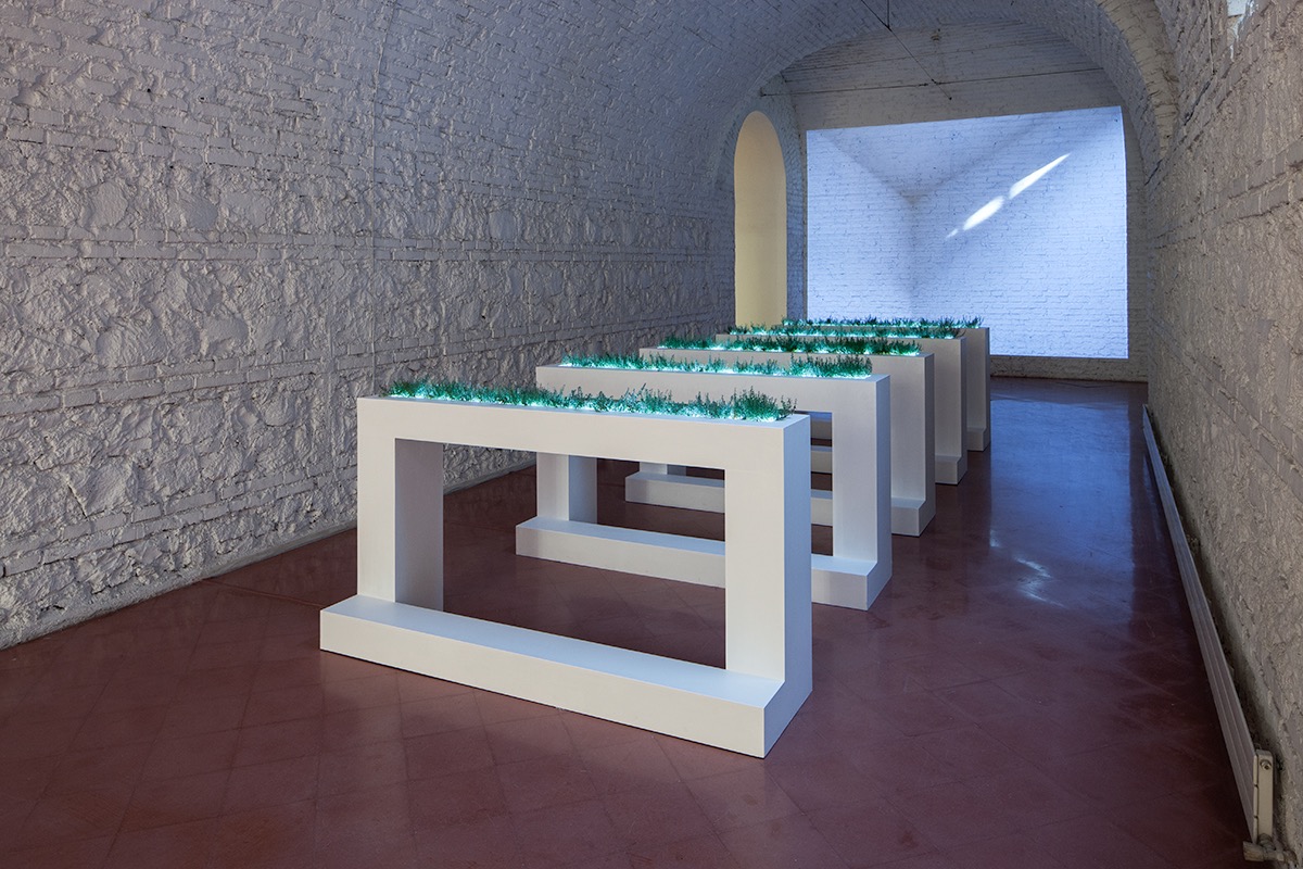 AAM_5M_72_allestimenti055.jpg