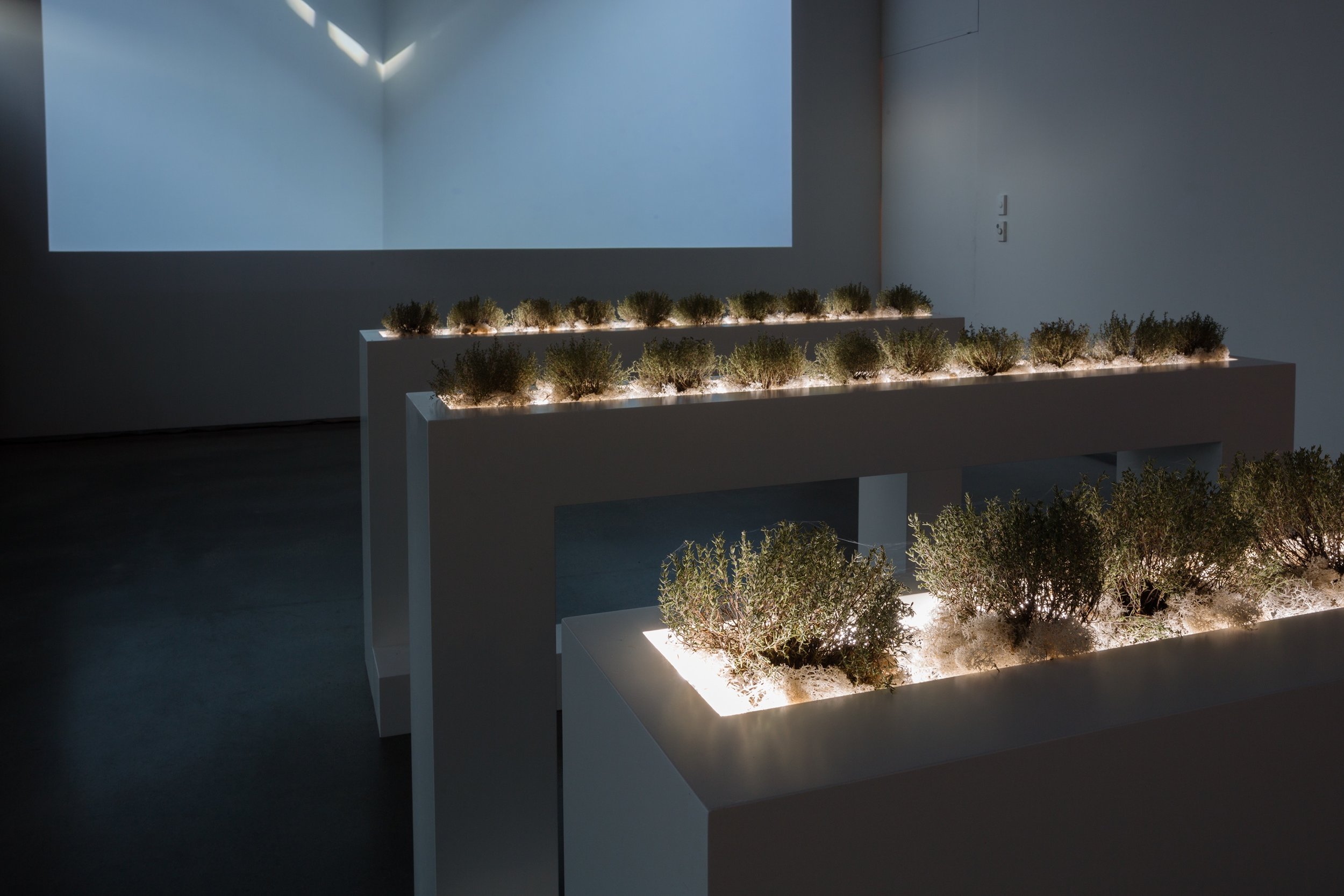 Lumen_004.jpg