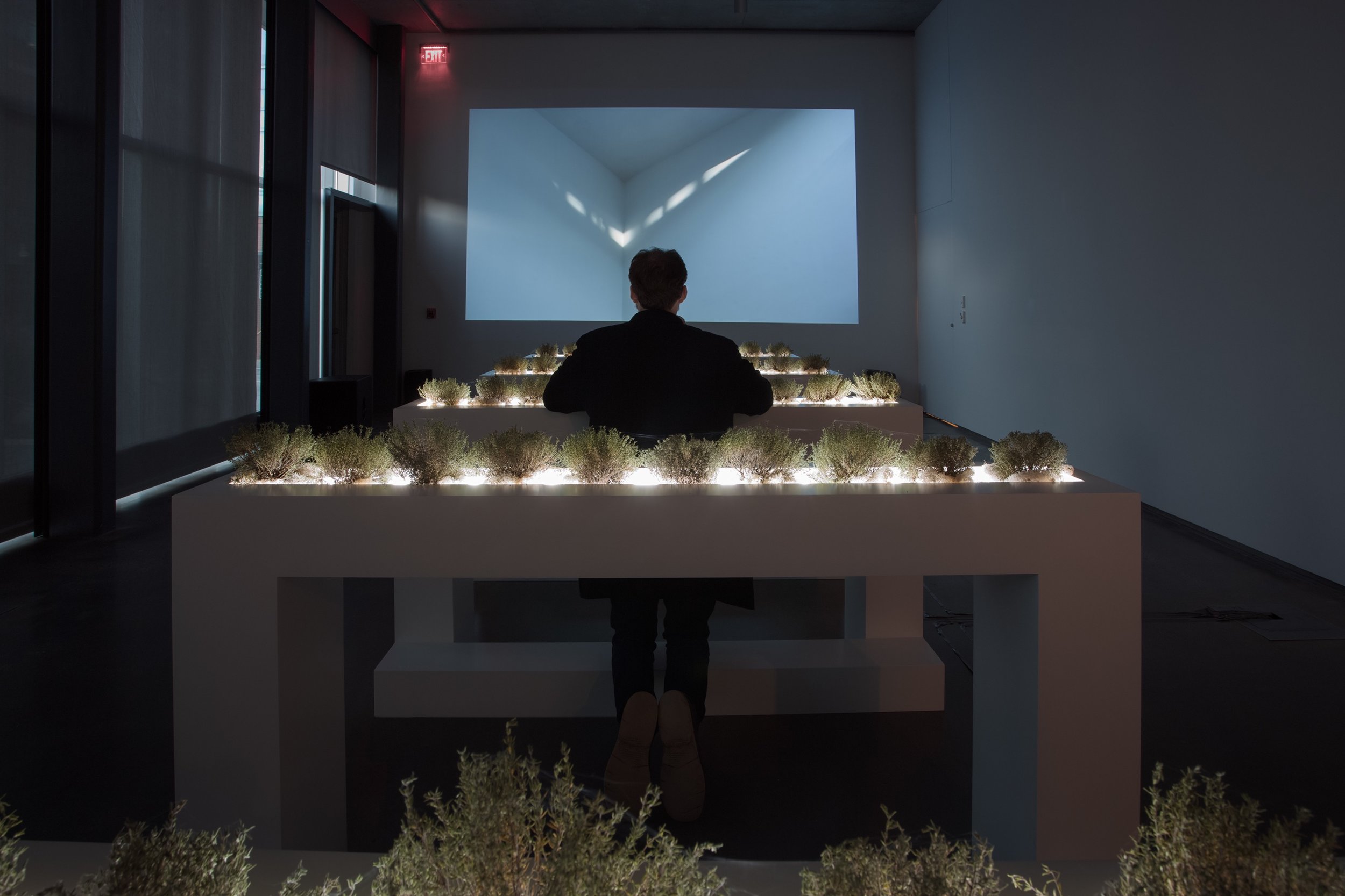 Lumen_006.jpg