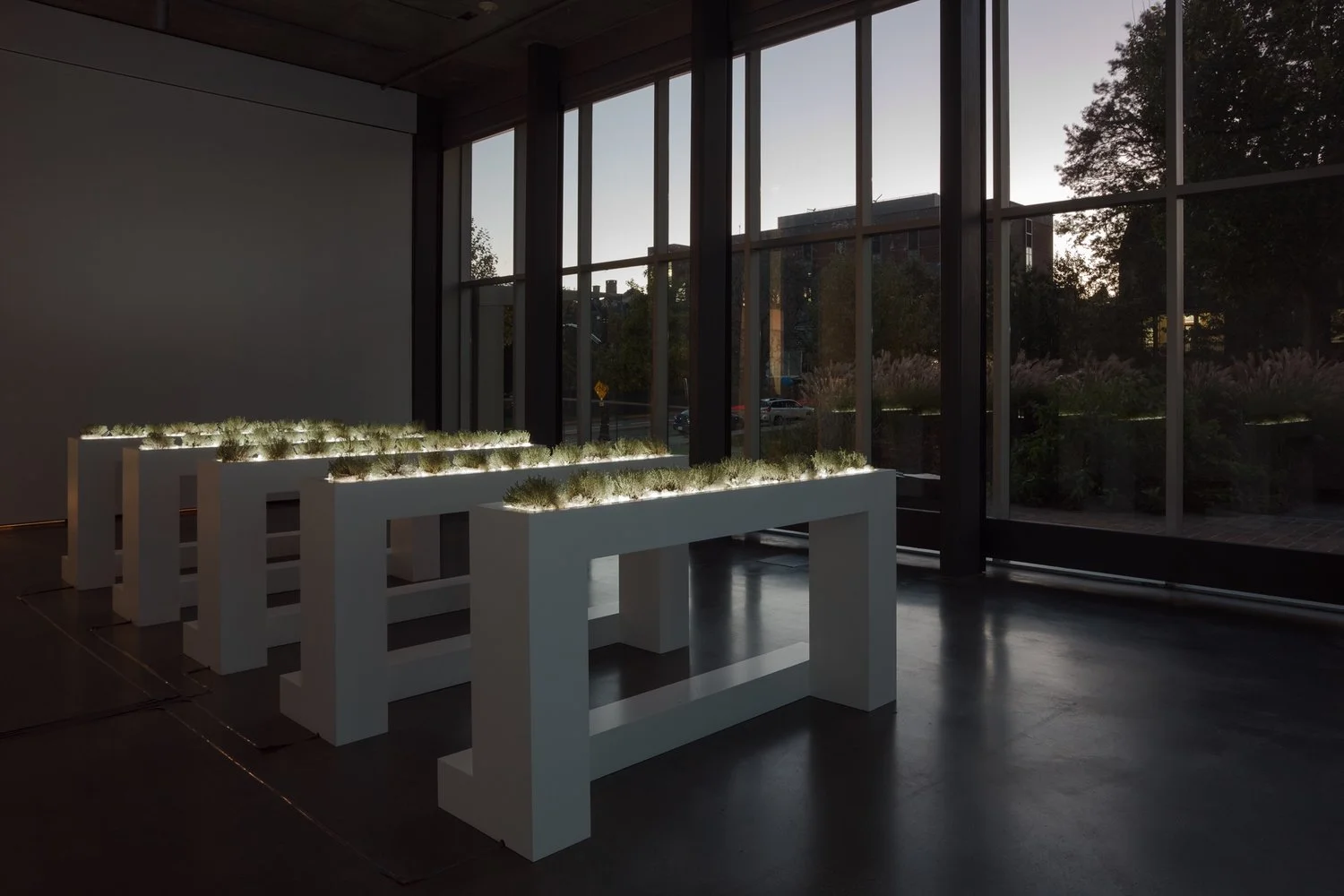 Lumen_013.jpg