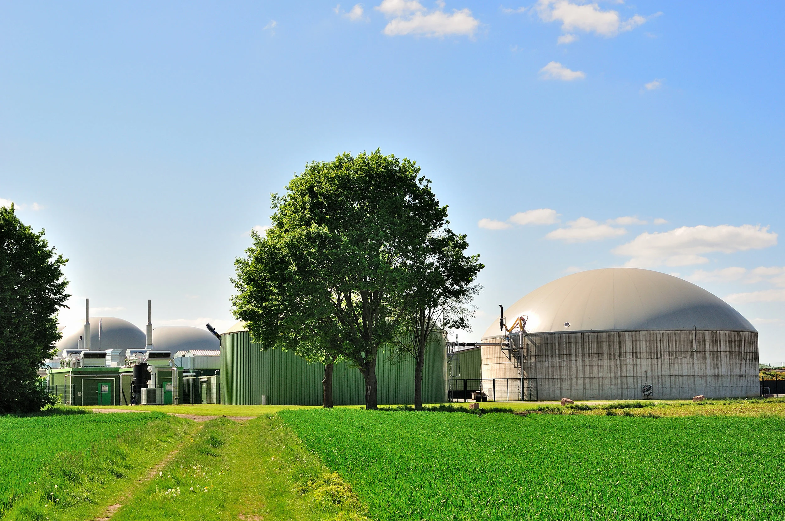 The Farm of the Future As California faces increasing strains on both our finite energy resources and limited water supplies, the “farm of the future” will need to be increasingly self-sufficient. Our algae-based wastewater technology can be integrated into a sustainable agricultural operation that produces biomethane for vehicle use, generates high-protein feed for livestock, and remediates water for improved crop irrigation. Tour the algae facility: The Fiscalini Dairy is a leader in innovative and sustainable farm business practices. Join us for a tour of our algae facility, and go home with some of California’s best cheese. And contact us if you are interested in converting your farm to a fully integrated production plant that generates biofuel, high-protein feed, and clean water. Learn More →