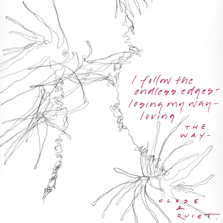 barbara-bash-illustrated-journaling.jpg