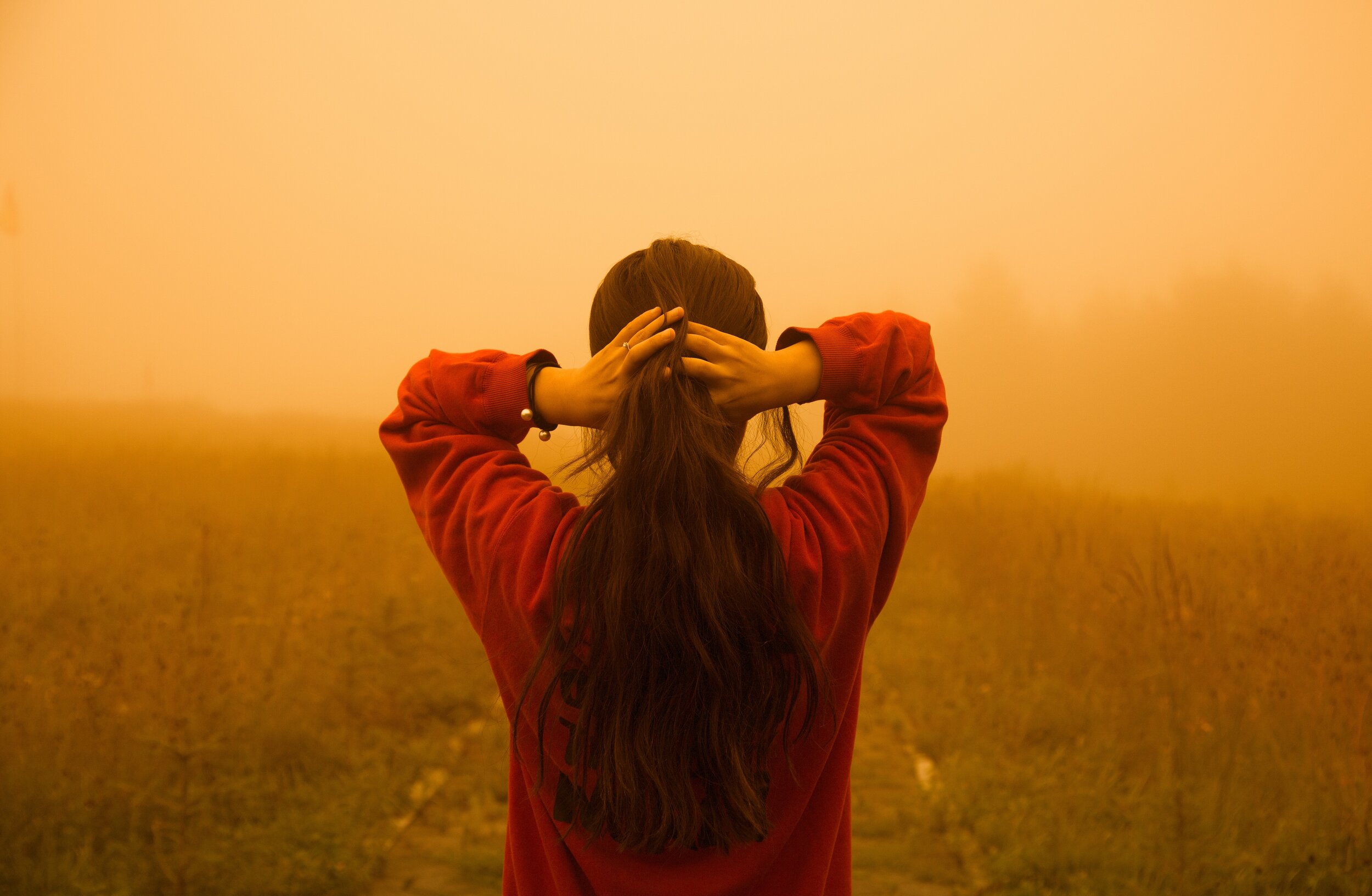 poem writing workshop online alaric-duan-ChT0vXQkXnk-unsplash.jpg
