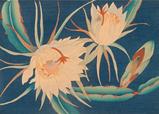 poem writing workshop online Night-Blooming Flowers: Contemporary Forms