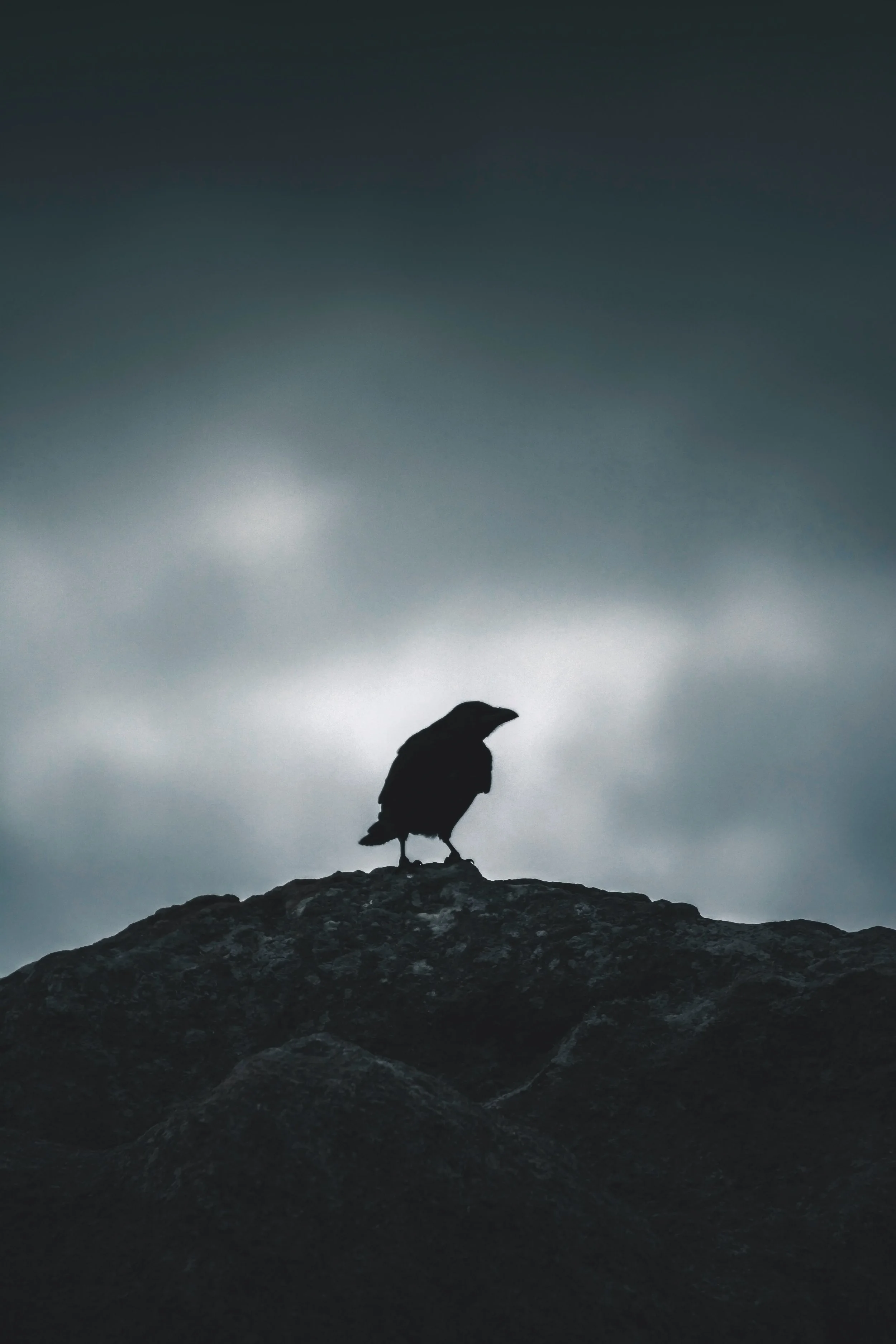Writing Poetry from the Shadows: Horror and the Dark Poem