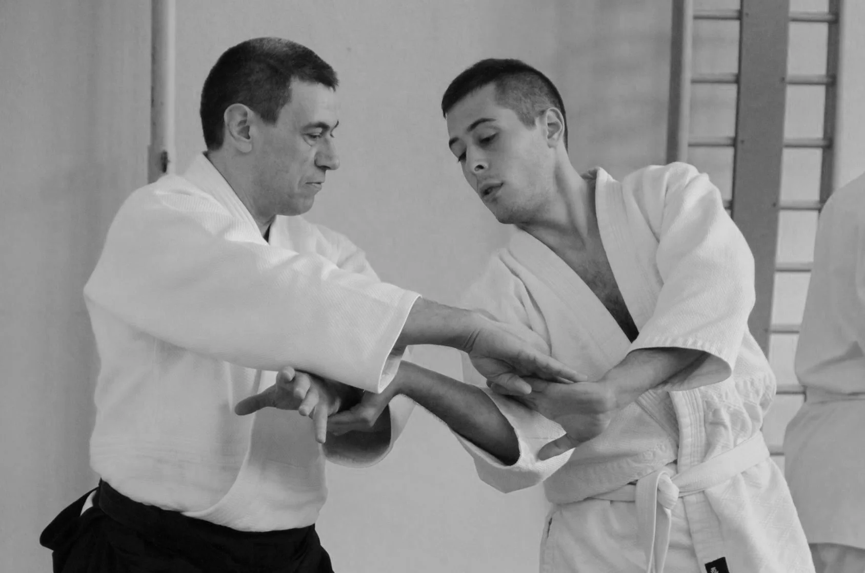 Travaglini Shihan a Casalpusterlengo (Lodi)