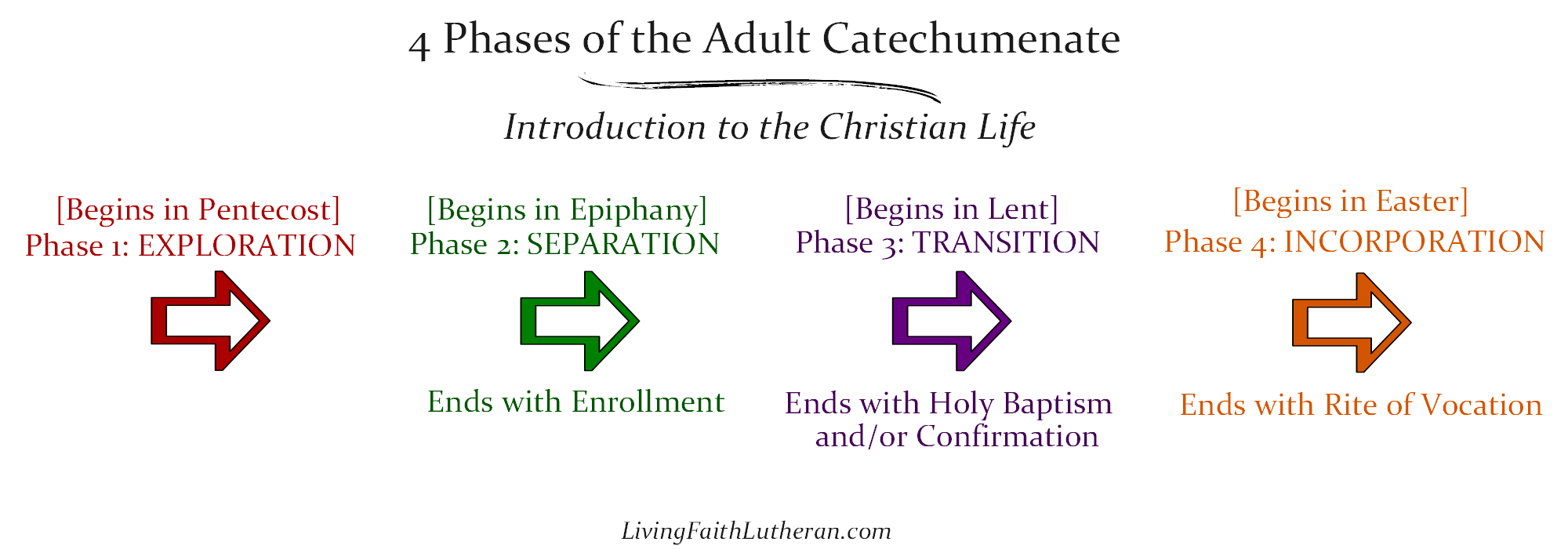 Adult Catechumenate Linear.png