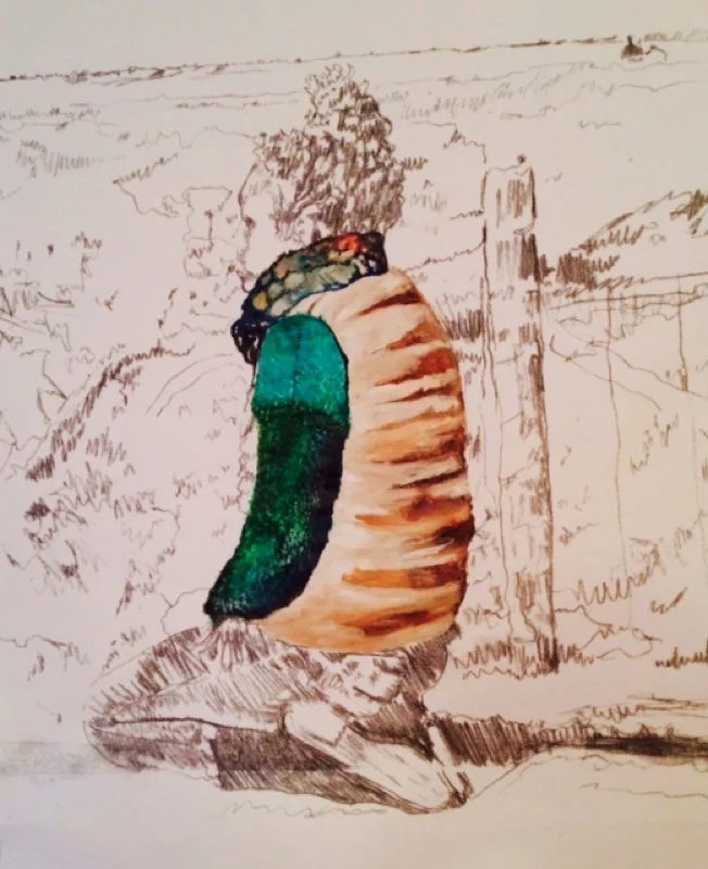 cliffs contact backdrop.jpg