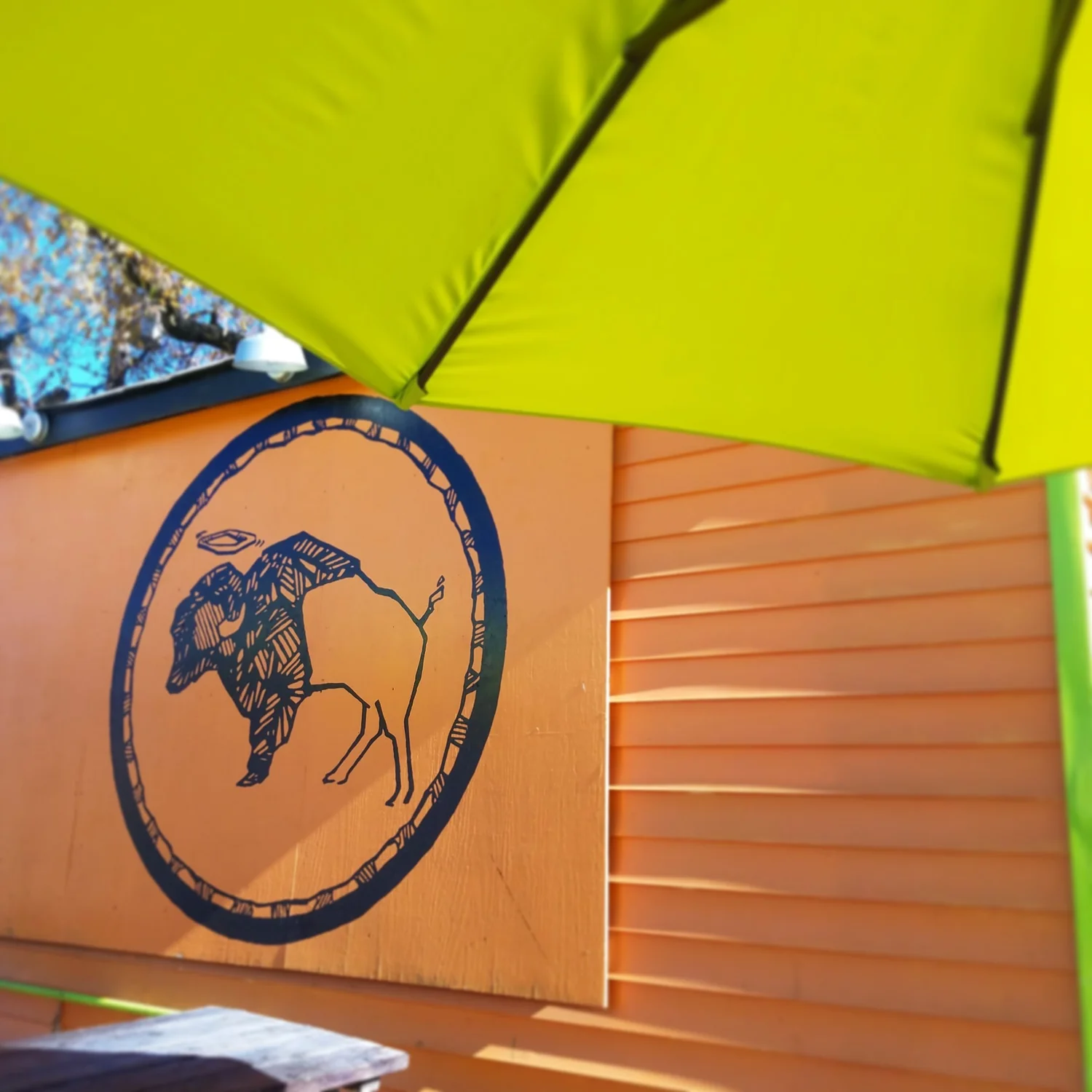 Durham — Heavenly Buffaloes