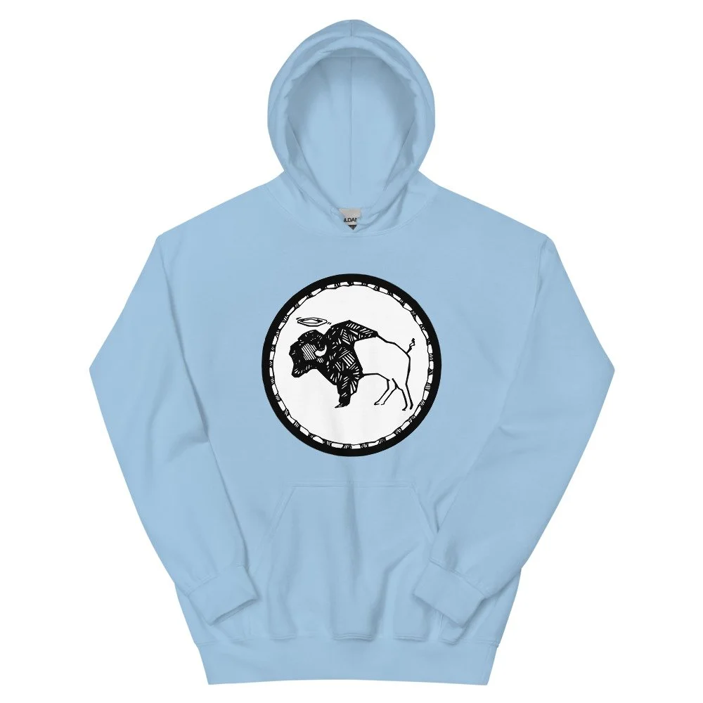unisex-heavy-blend-hoodie-light-blue-front-6217c9ac54363.jpg