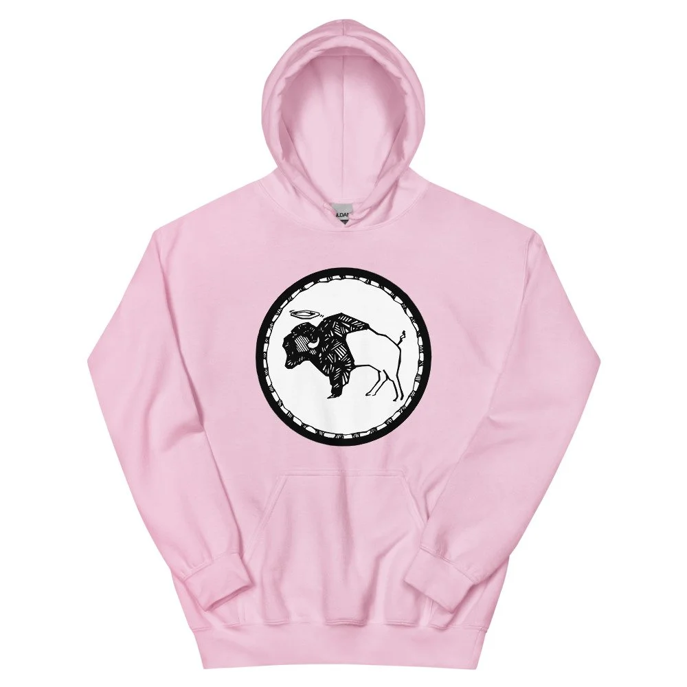 unisex-heavy-blend-hoodie-light-pink-front-6217c9ac57291.jpg