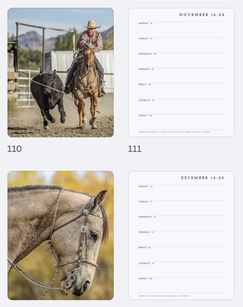 Screenshot 2025-11-22 at 8.03.16 PM.png