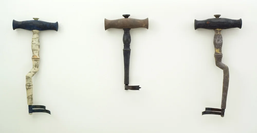 20. Three Toothkey's.jpg