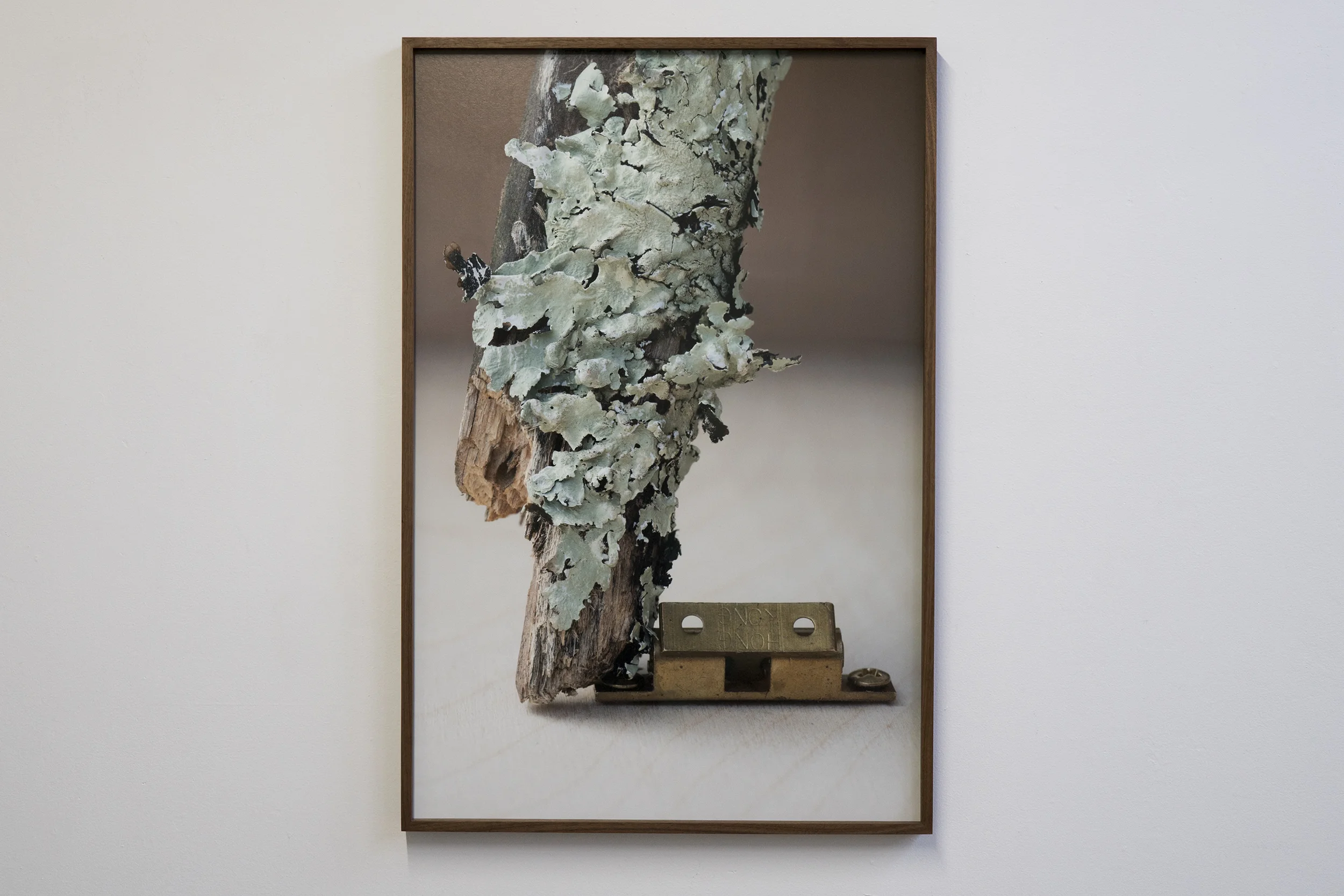 'Untitled_Wood Stick on Brass Hinge' 2016 38"x27" Archival pigment print.
