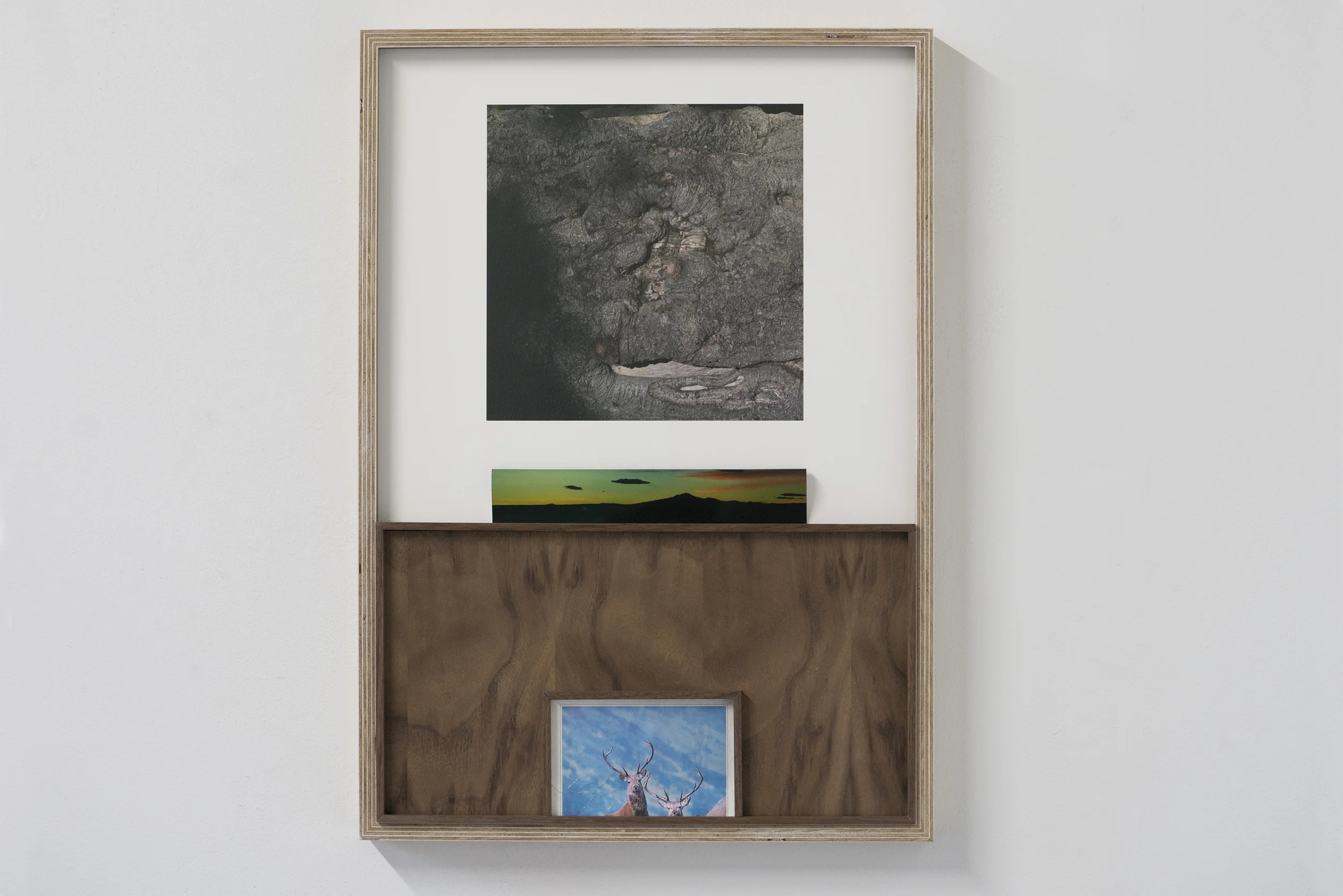 'Untitled_Scottish Deer' 2016 16"x27" Wood, Archival pigment print mounted on aluminum, Acrylic, Plywood, Found Postcard, Rolled print. 