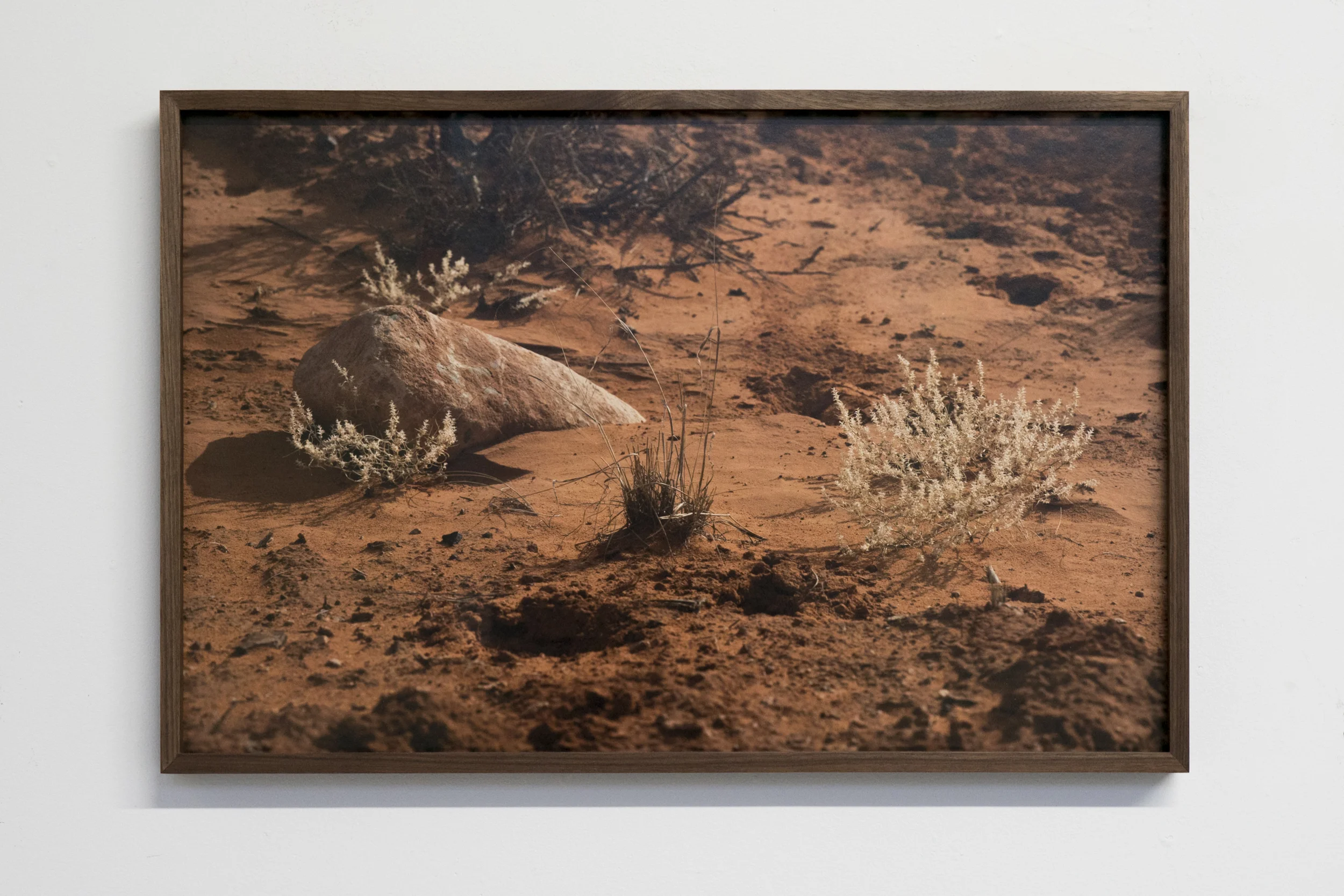 'Untitled_Plants on sand' 2016 20"x28" Wood, Archival pigment print mounted on aluminum, Acrylic, Brass, Solid graphite panel.