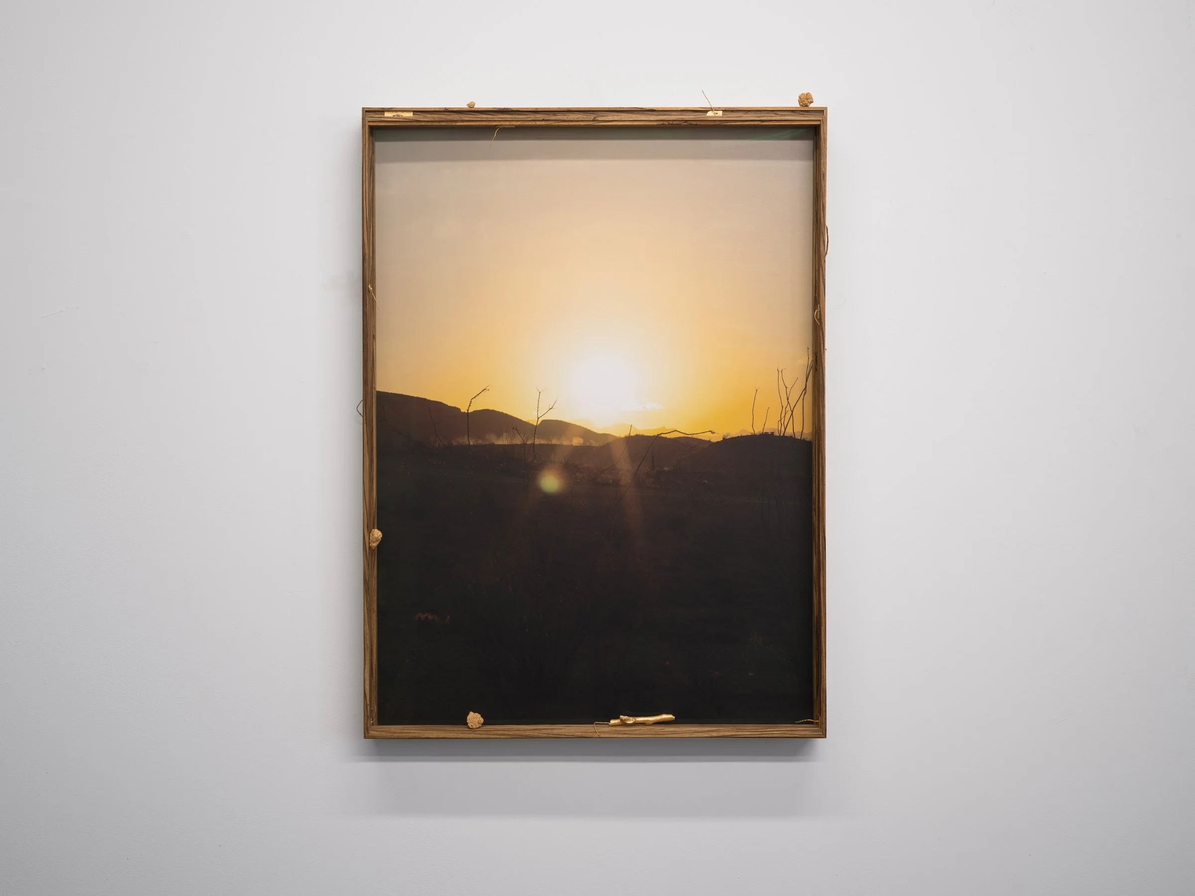 Sunrise-002 (Quarried Measure), 2024, Zebrawood, archival pigment print, double frame structure, gilded spray paint sediment (studio-formed), repurposed Soviet pins (gilded), Optium museum acrylic, magnets, gilded found steel. 36 x 26 x 2 inches