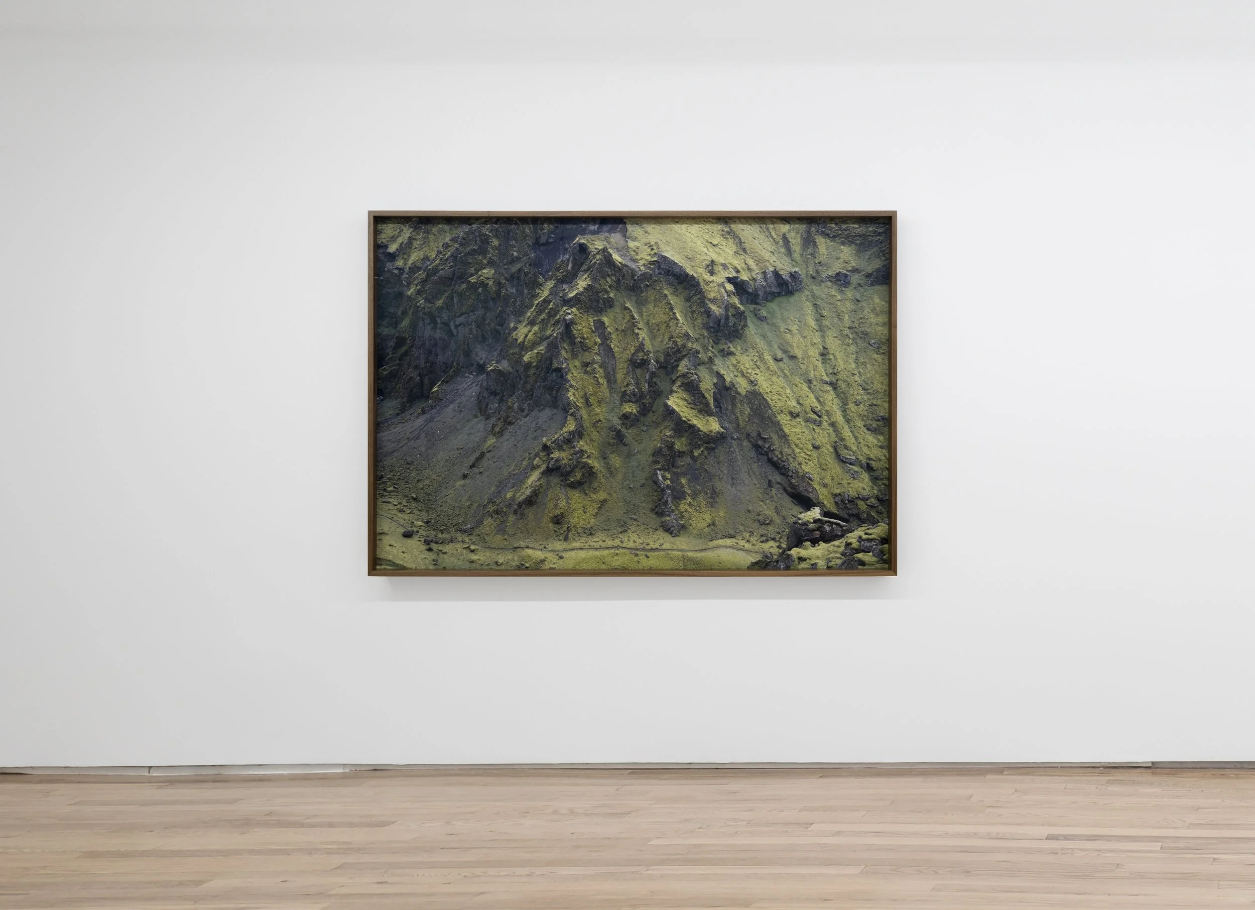 Untitled Green Landscape , 2022, Clear varnished archival pigment print mounted on Dibond, 50 x 70 inches, framed