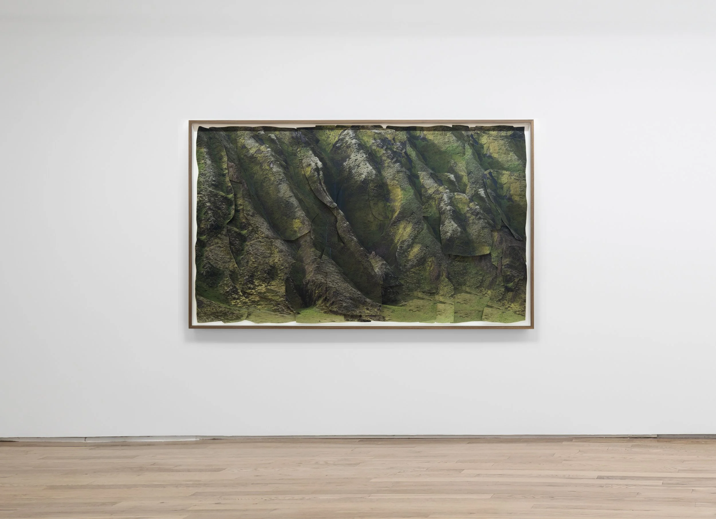 Untitled landscape-green II, 2022, Clear varnished archival pigment print mounted on museum board, 50 x 80 inches, framed