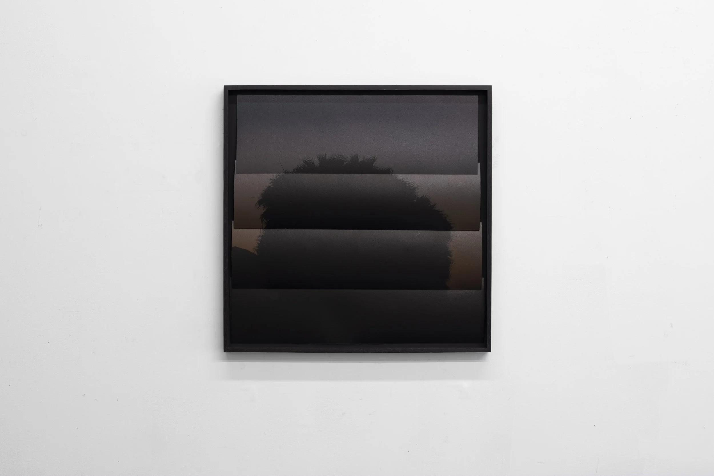 Untitled-Palm Springs, 2022, Clear varnished pigment print, 21 x 21 inches, framed