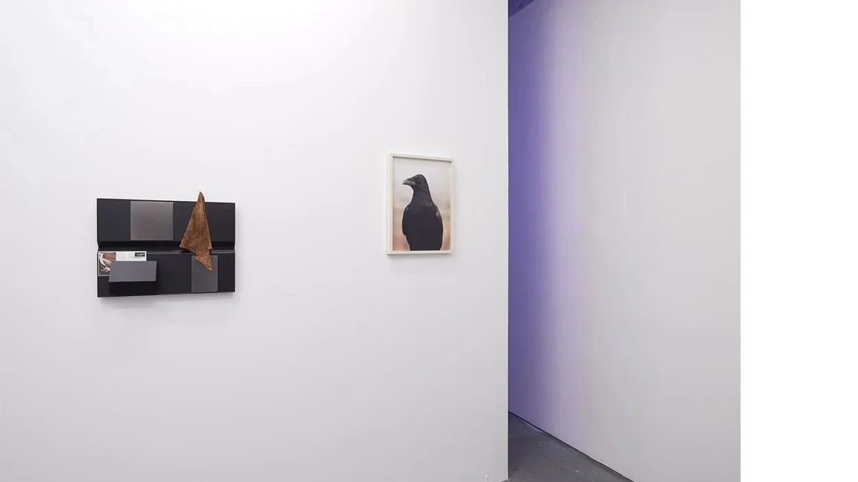 Installation view, Dusk to Dust, Present Co., Brooklyn, NY, 2017.