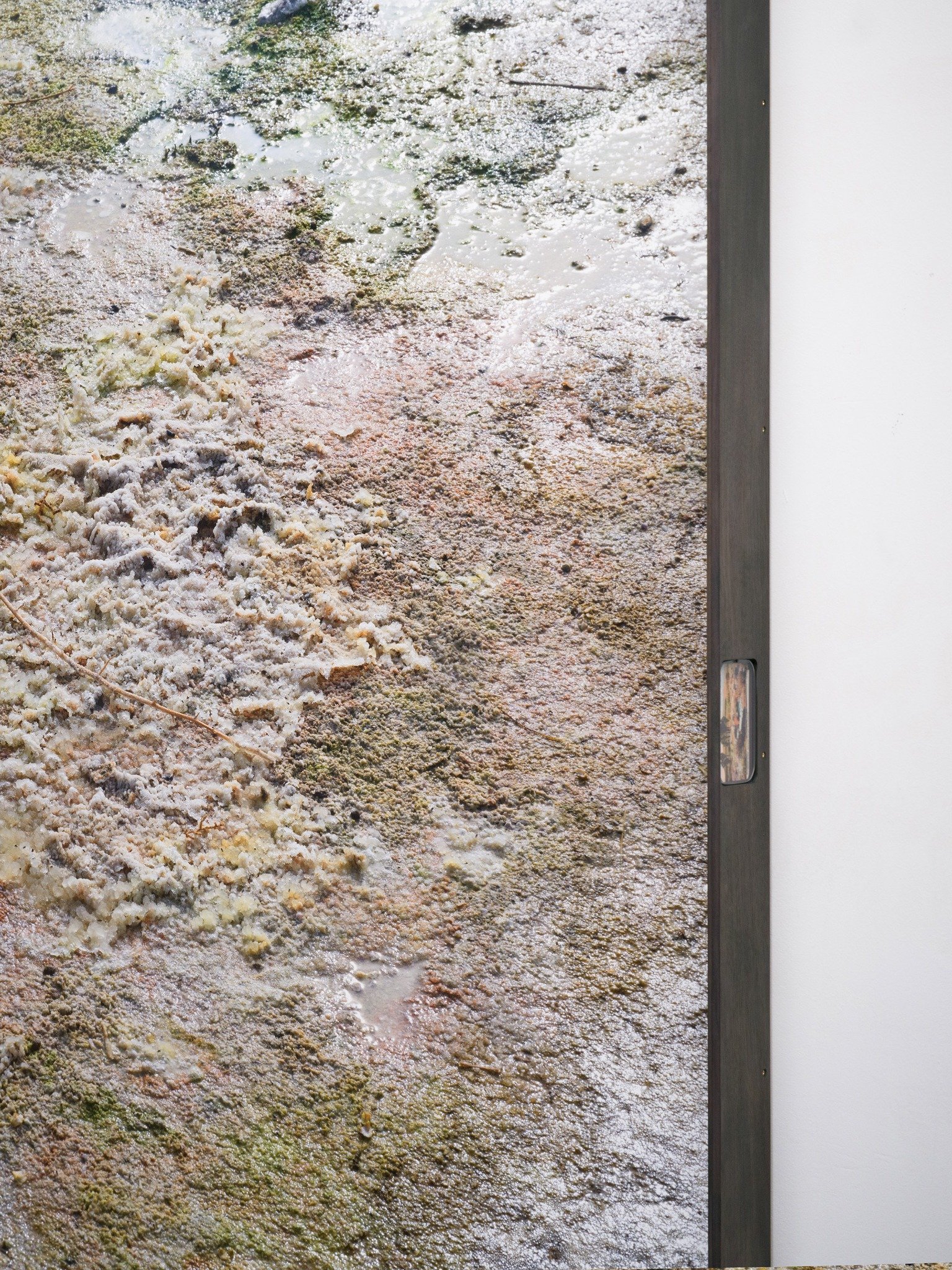 Salton Sea, 2026 — detail