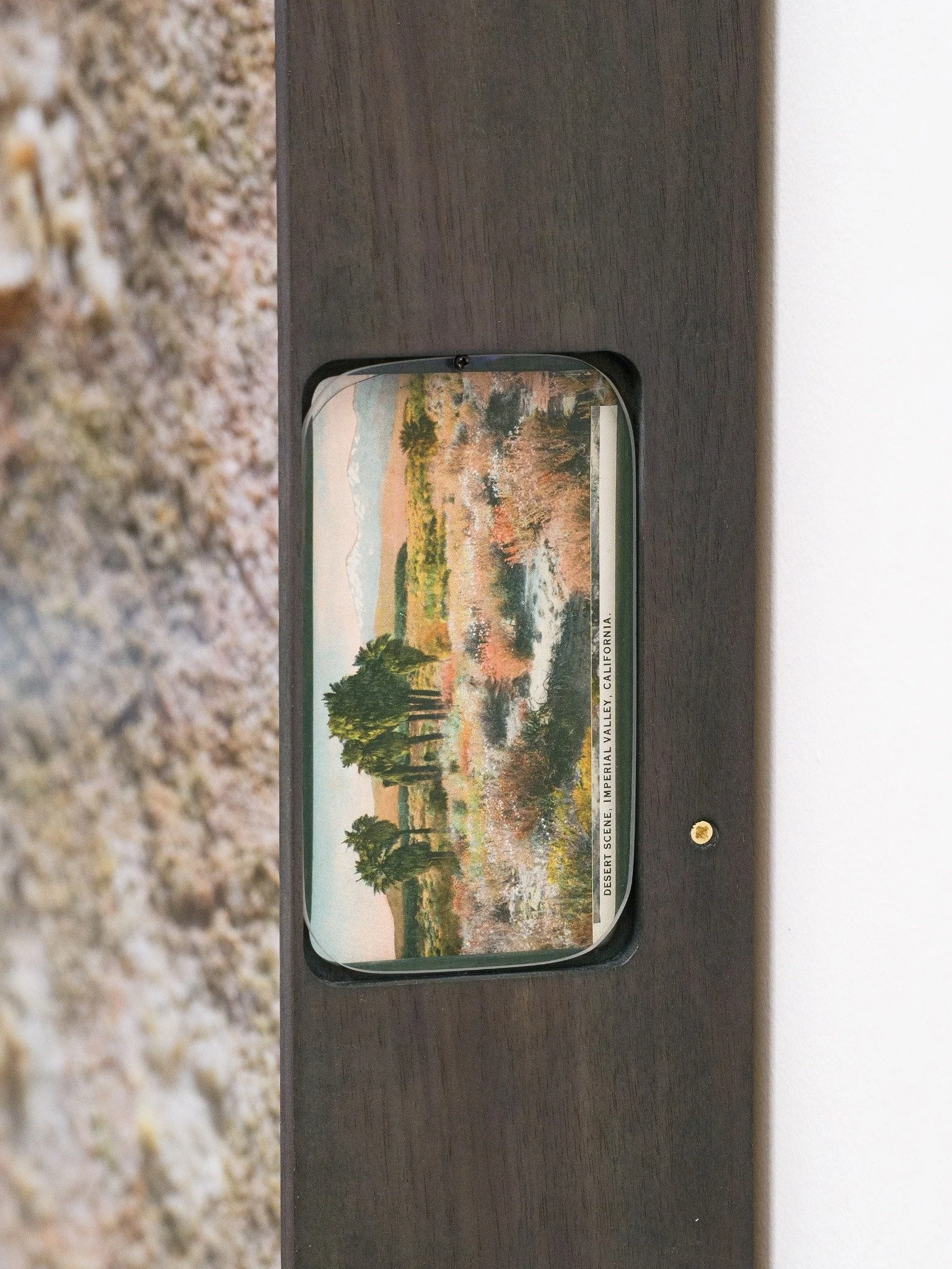 Salton Sea, 2026 — postcard detail
