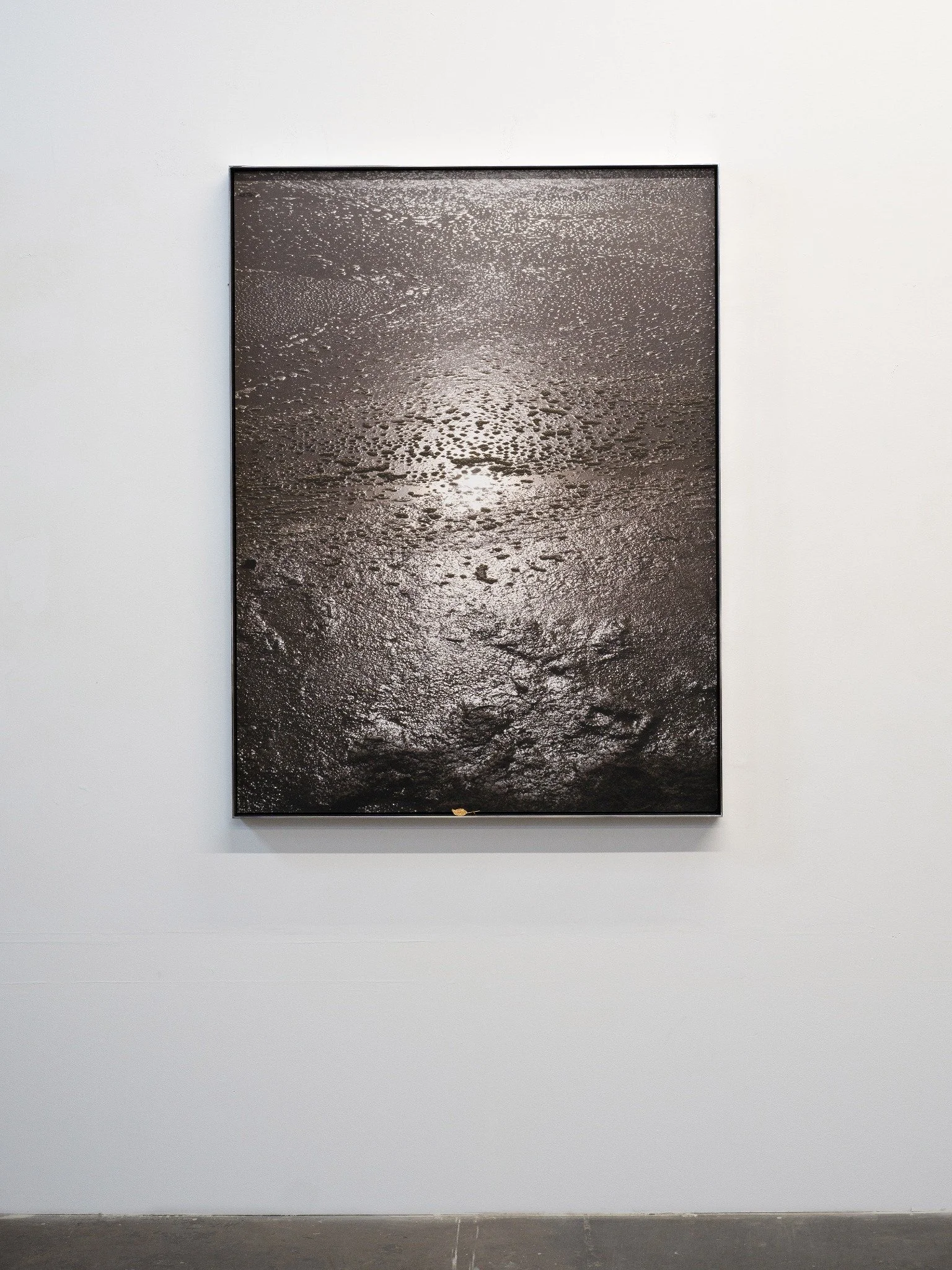 Interference — Salton Sea, 2026