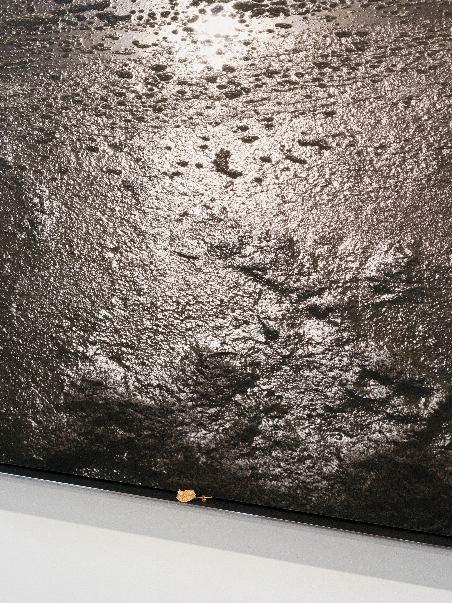 Interference — Salton Sea, 2026 — detail