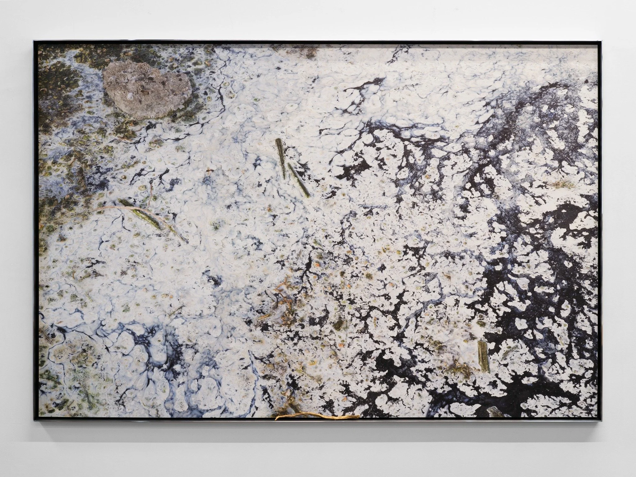 Interference — Salton Sea, 2026