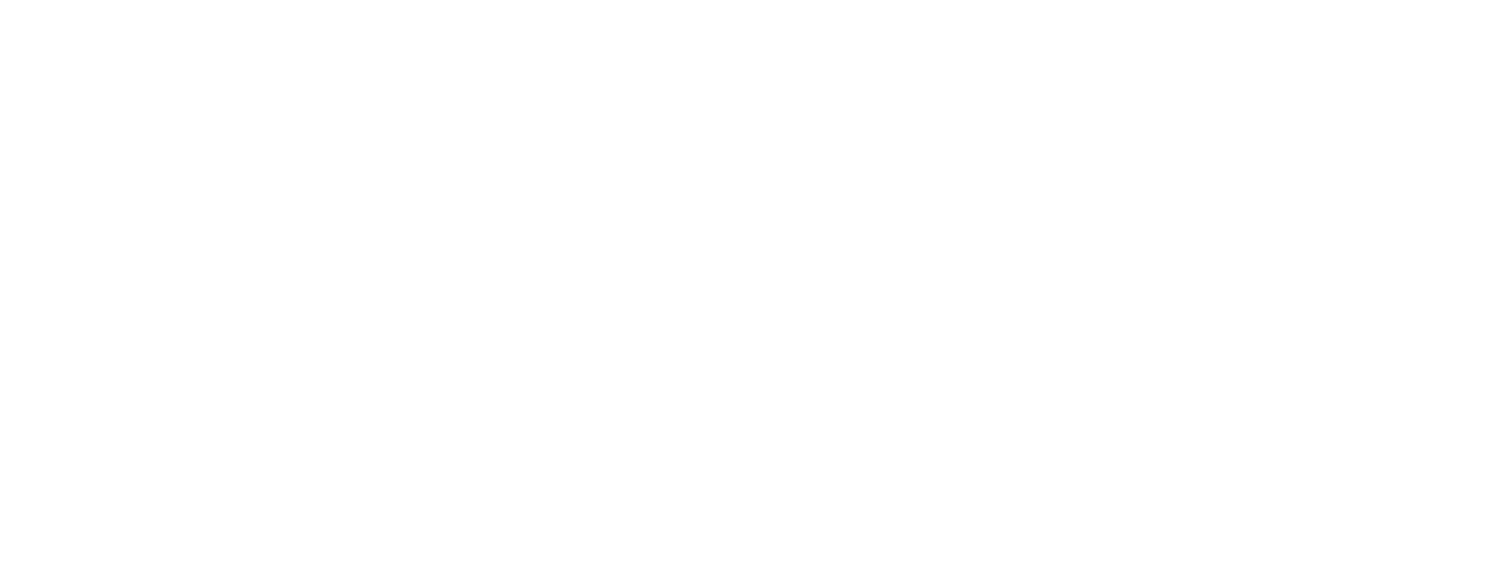 the leah still foundation