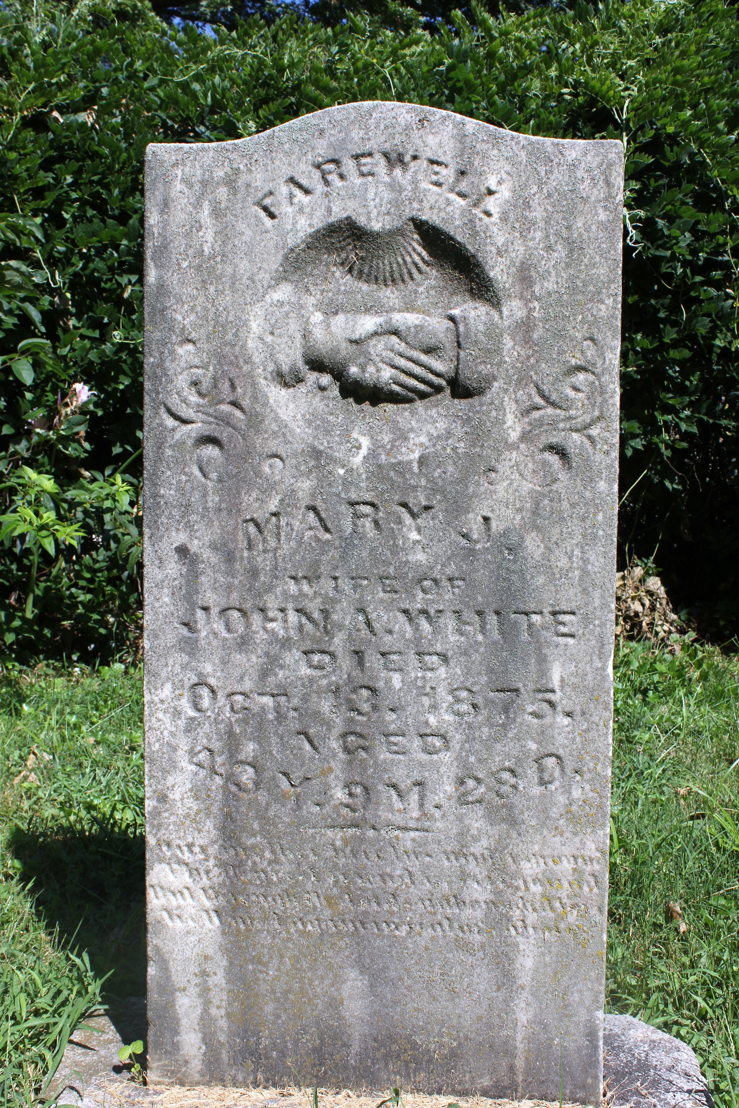 Mary J. White