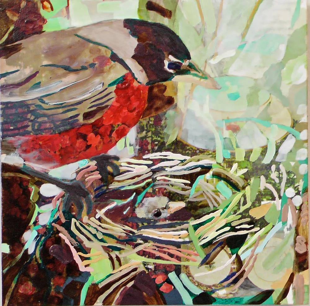 Robincam