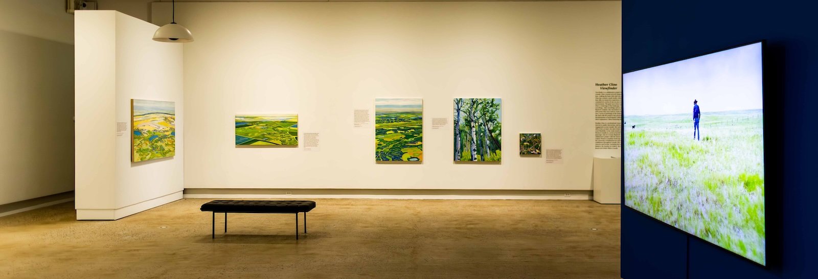 Heather Cline: Viewfinder