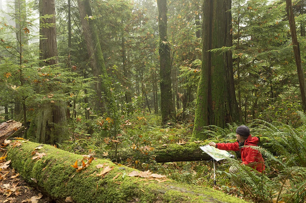 David painting on location in the Pacific Spirit Park